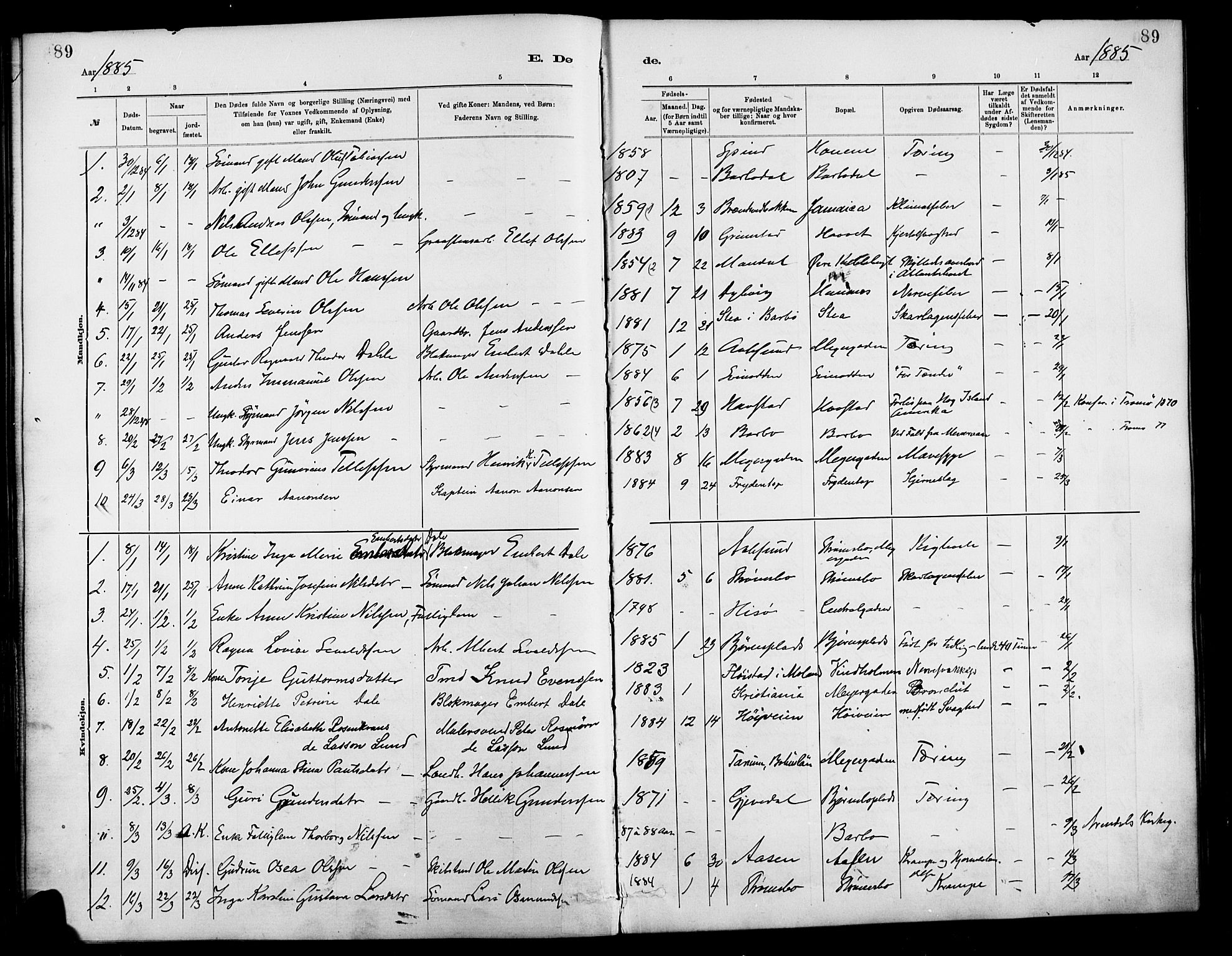 Barbu sokneprestkontor, AV/SAK-1111-0003/F/Fa/L0003: Parish register (official) no. A 3, 1883-1898, p. 89