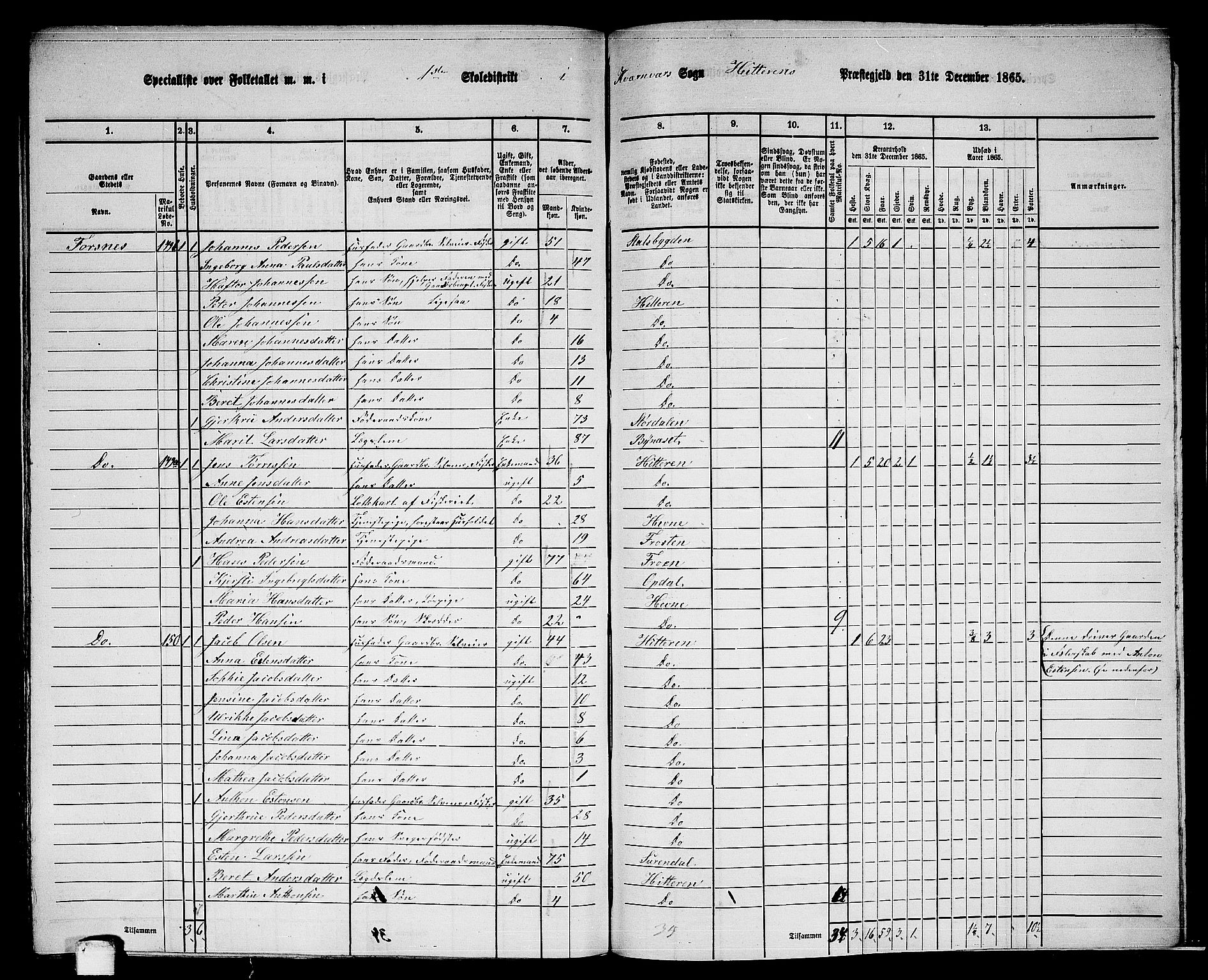 RA, 1865 census for Hitra, 1865, p. 300
