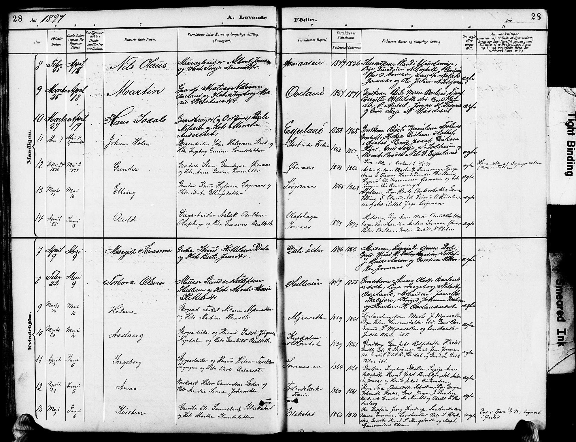 Froland sokneprestkontor, SAK/1111-0013/F/Fb/L0010: Parish register (copy) no. B 10, 1893-1920, p. 28
