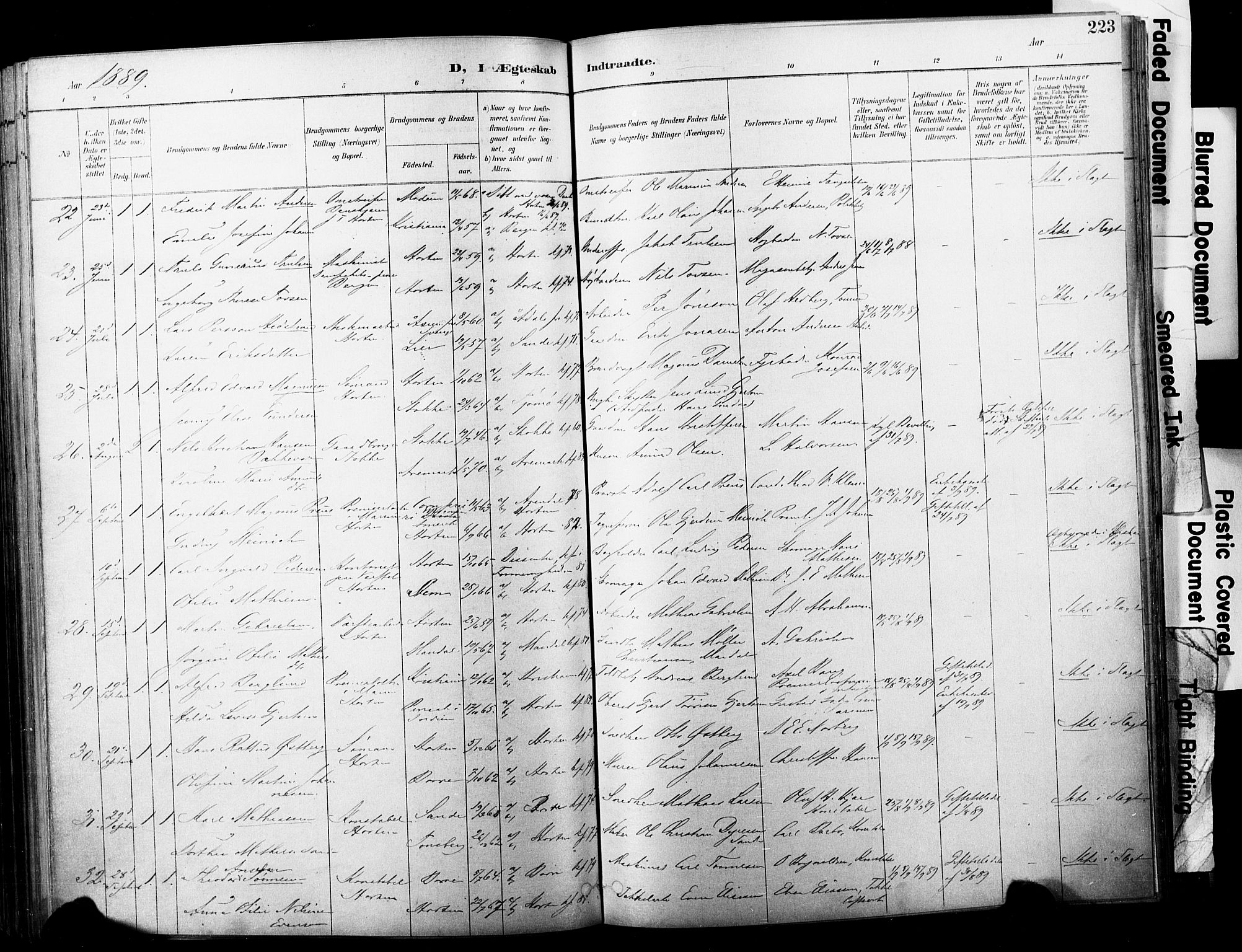 Horten kirkebøker, SAKO/A-348/F/Fa/L0004: Parish register (official) no. 4, 1888-1895, p. 223