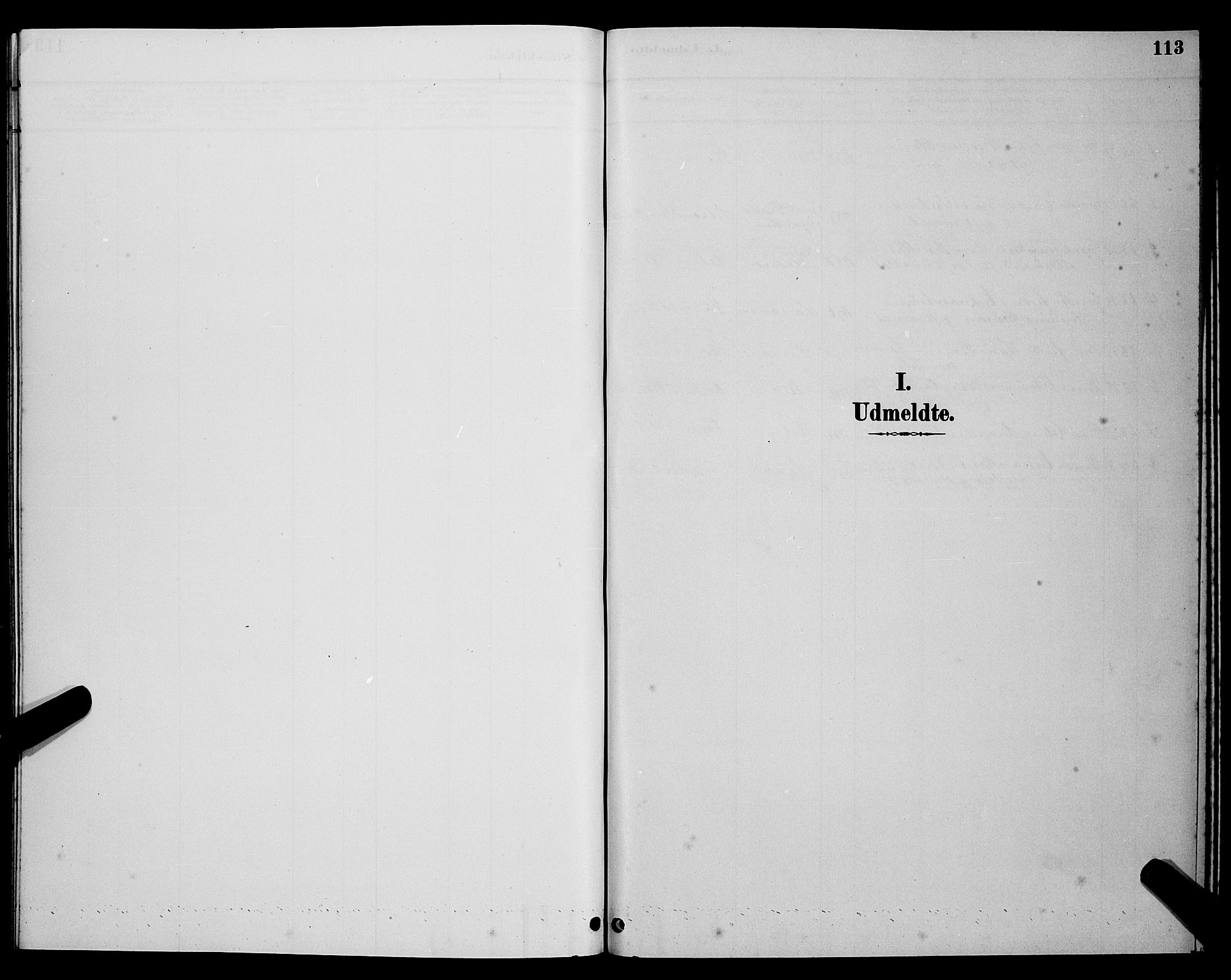 Ministerialprotokoller, klokkerbøker og fødselsregistre - Nordland, SAT/A-1459/894/L1360: Parish register (copy) no. 894C03, 1885-1888, p. 113