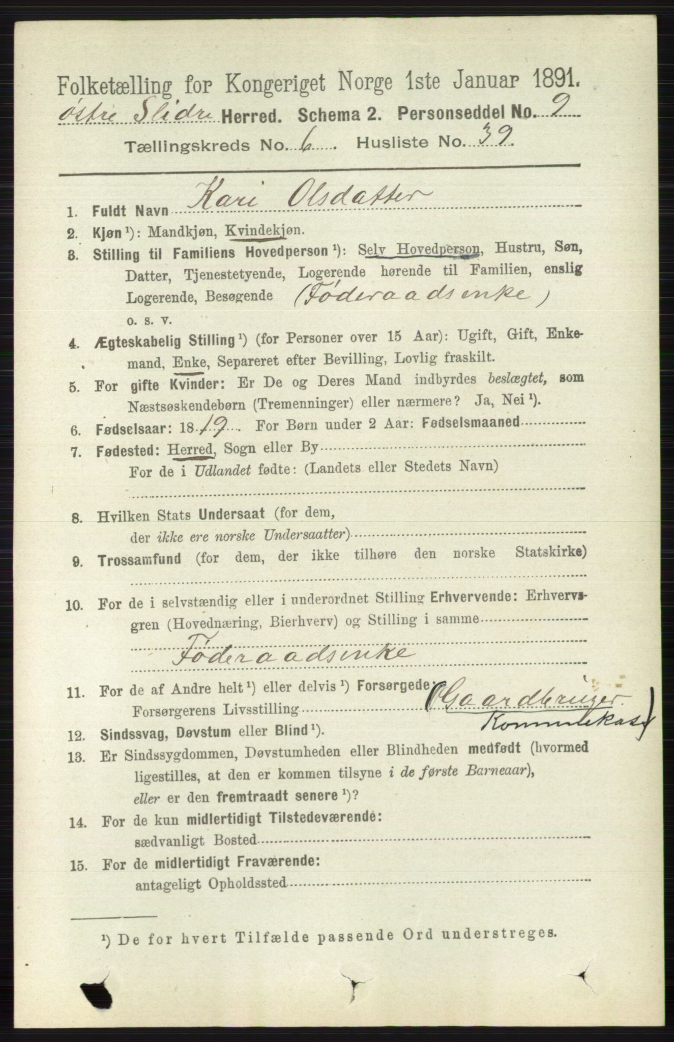 RA, 1891 census for 0544 Øystre Slidre, 1891, p. 2015
