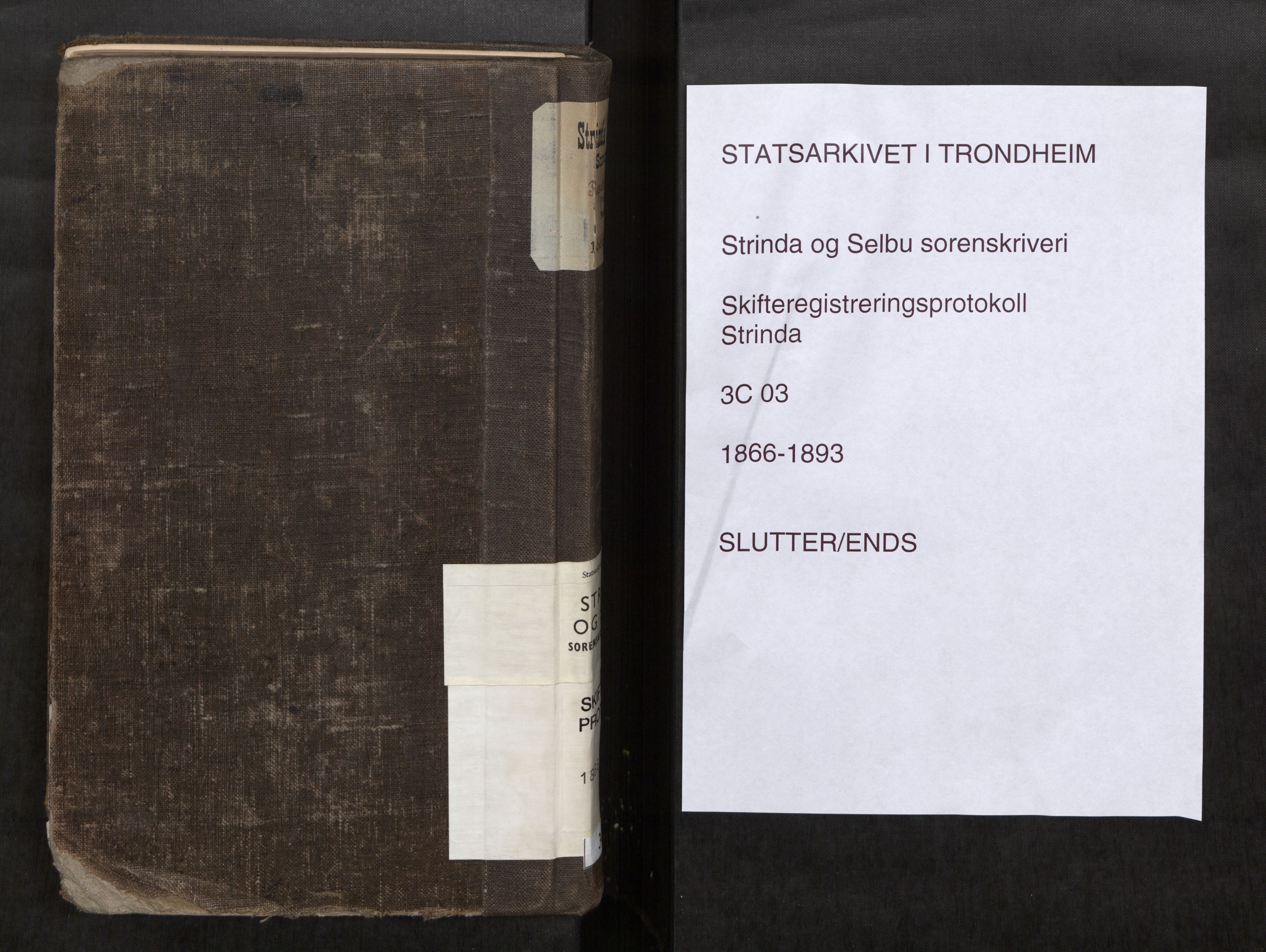 Strinda og Selbu sorenskriveri, AV/SAT-A-0015/3/3C/L0003: Skifteregistreringsprot., 1866-1893