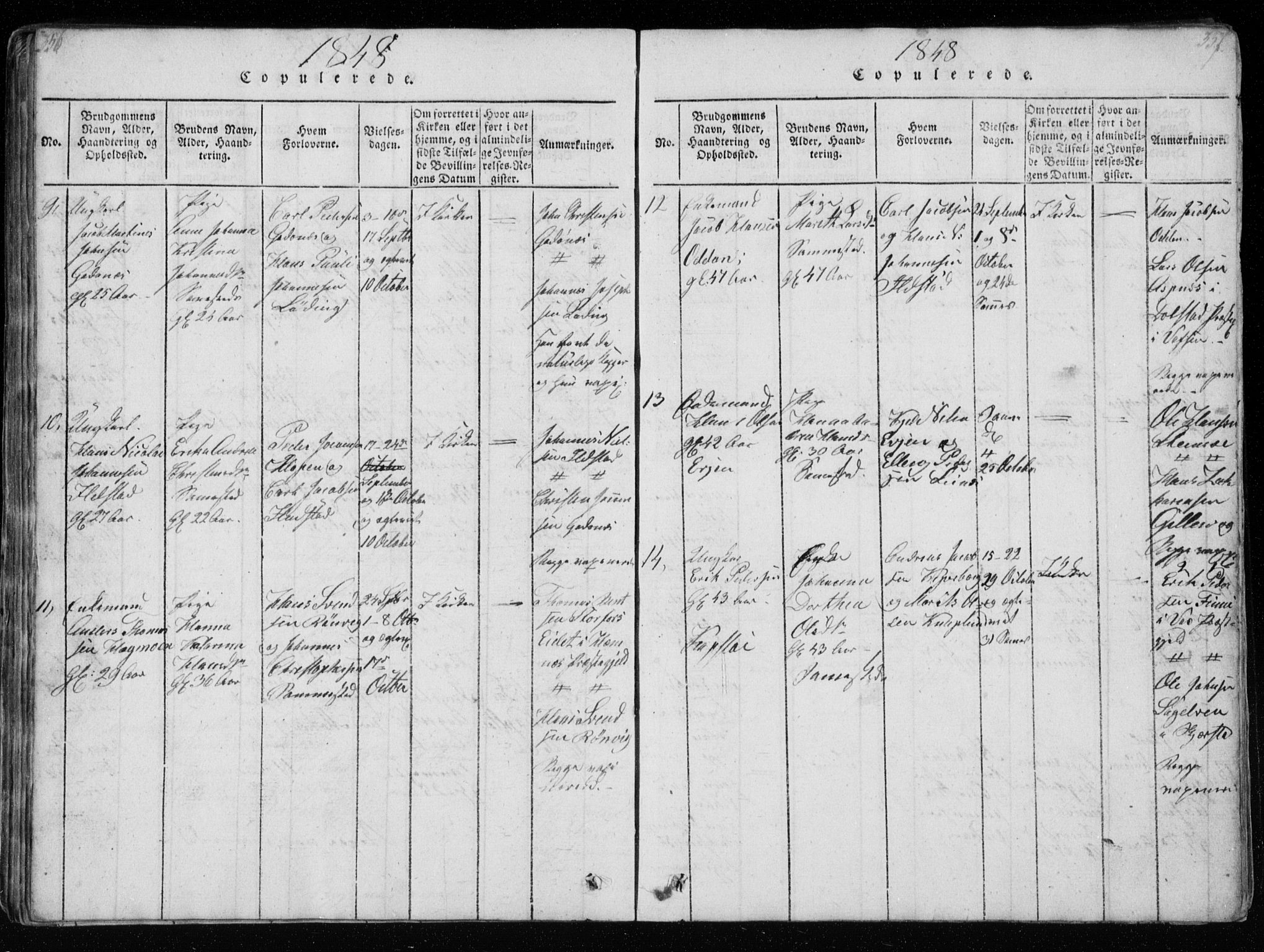 Ministerialprotokoller, klokkerbøker og fødselsregistre - Nordland, AV/SAT-A-1459/801/L0026: Parish register (copy) no. 801C01, 1820-1855, p. 356-357