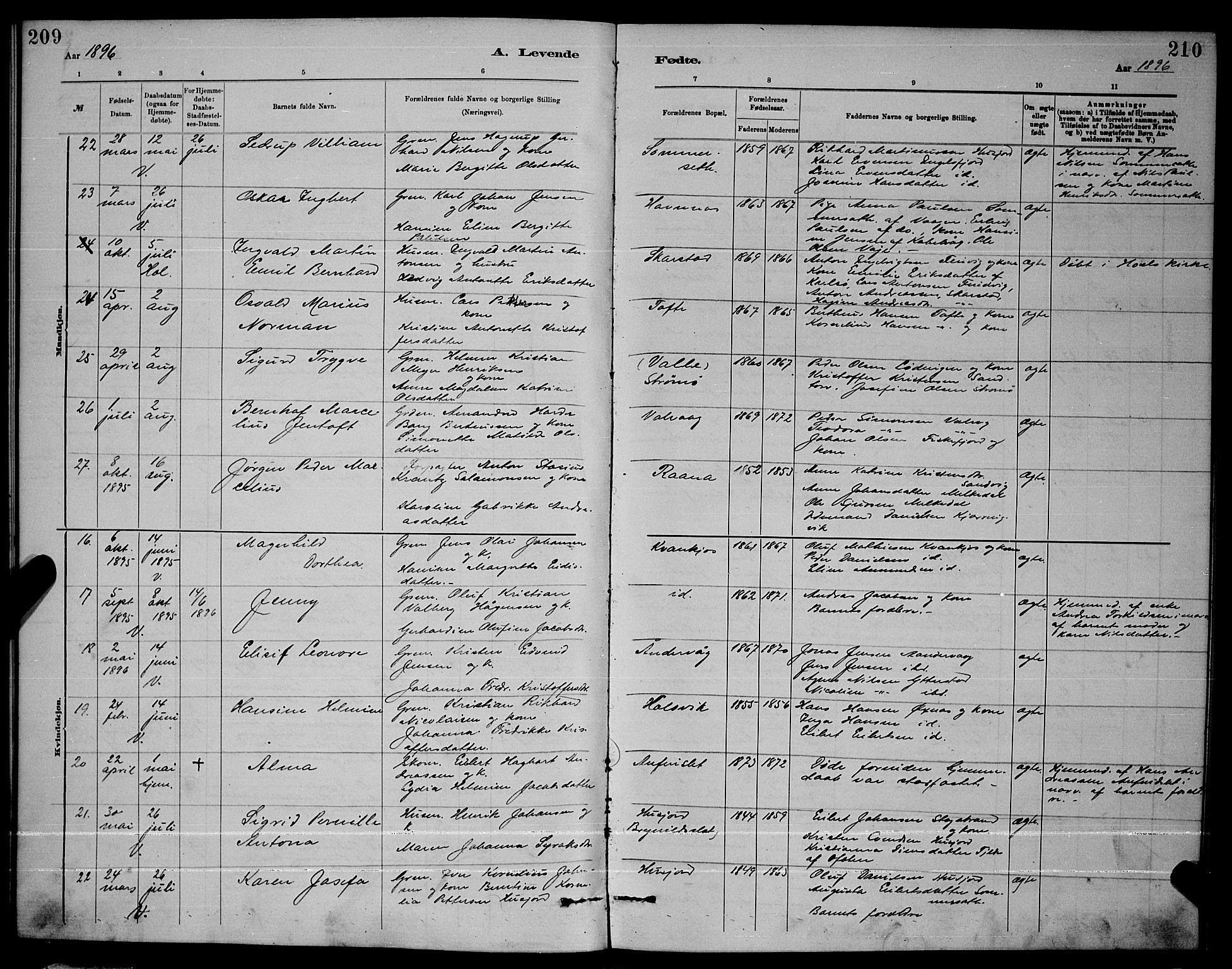 Ministerialprotokoller, klokkerbøker og fødselsregistre - Nordland, SAT/A-1459/872/L1047: Parish register (copy) no. 872C03, 1880-1897, p. 209-210