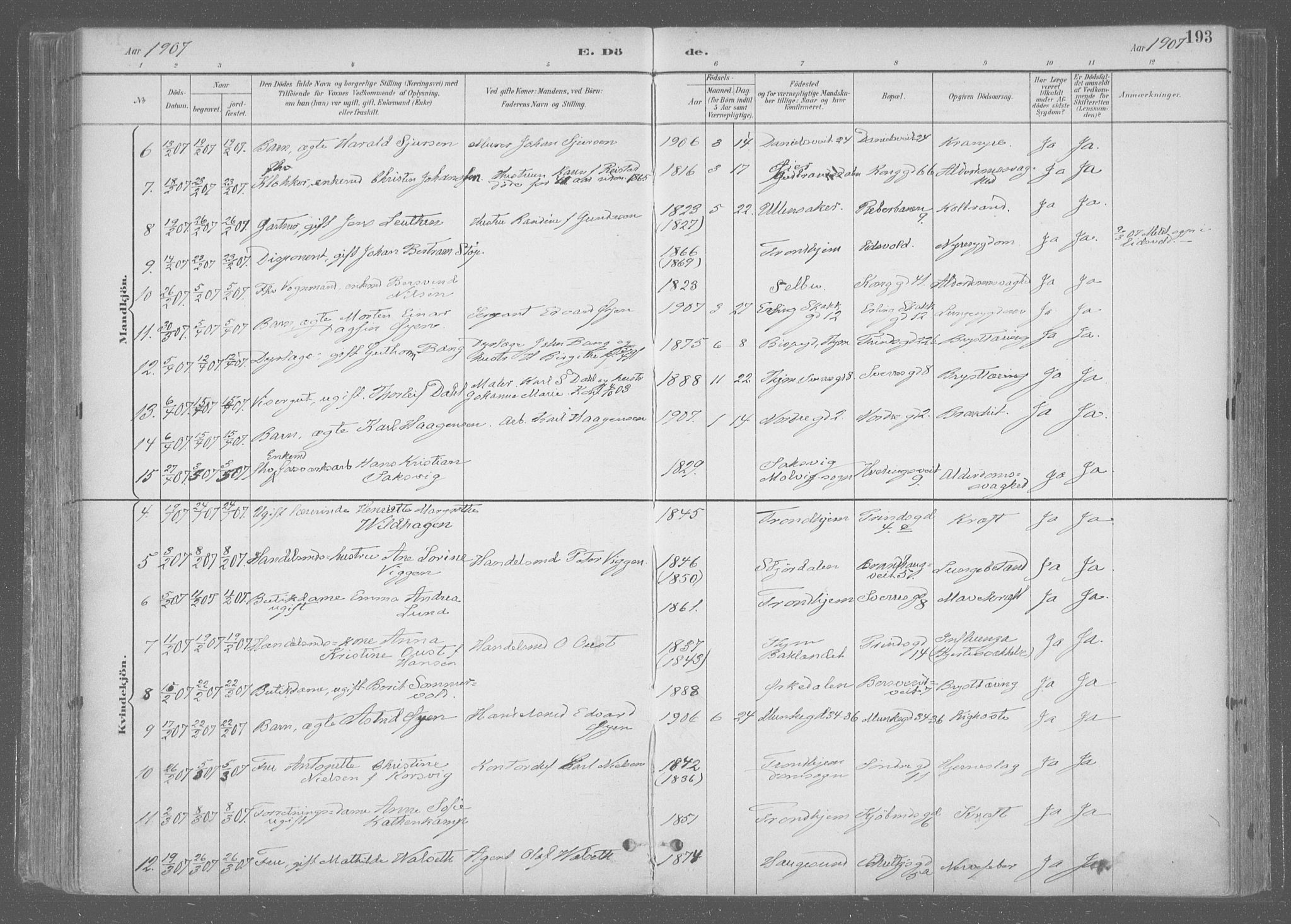 Ministerialprotokoller, klokkerbøker og fødselsregistre - Sør-Trøndelag, SAT/A-1456/601/L0064: Parish register (official) no. 601A31, 1891-1911, p. 193