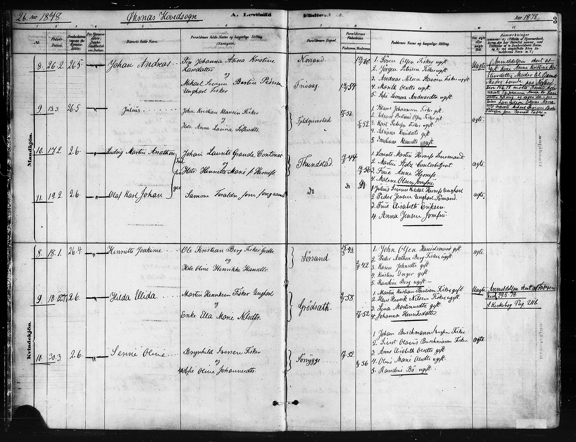 Ministerialprotokoller, klokkerbøker og fødselsregistre - Nordland, AV/SAT-A-1459/893/L1335: Parish register (official) no. 893A08 /1, 1878-1884, p. 3