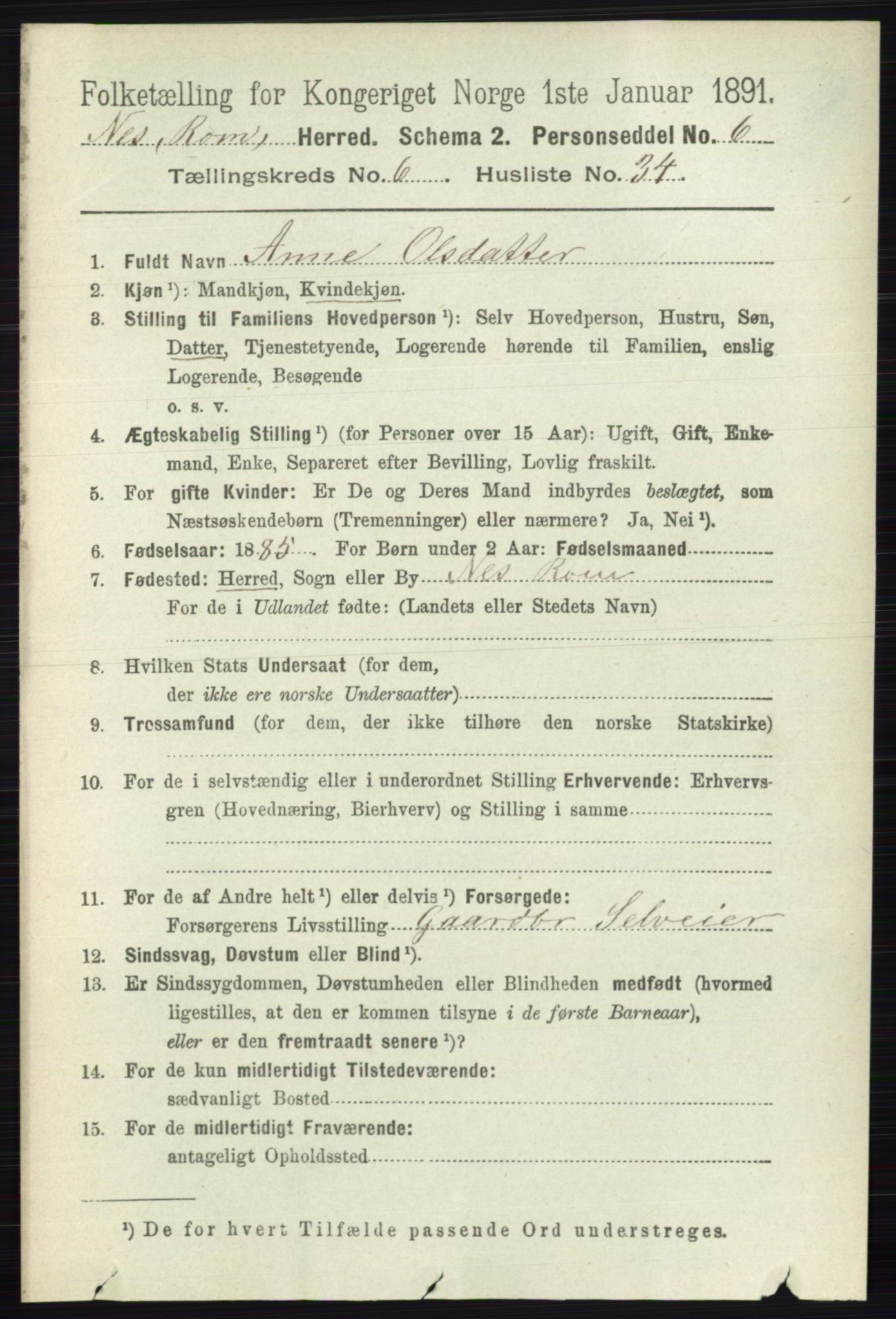 RA, 1891 census for 0236 Nes, 1891, p. 3599
