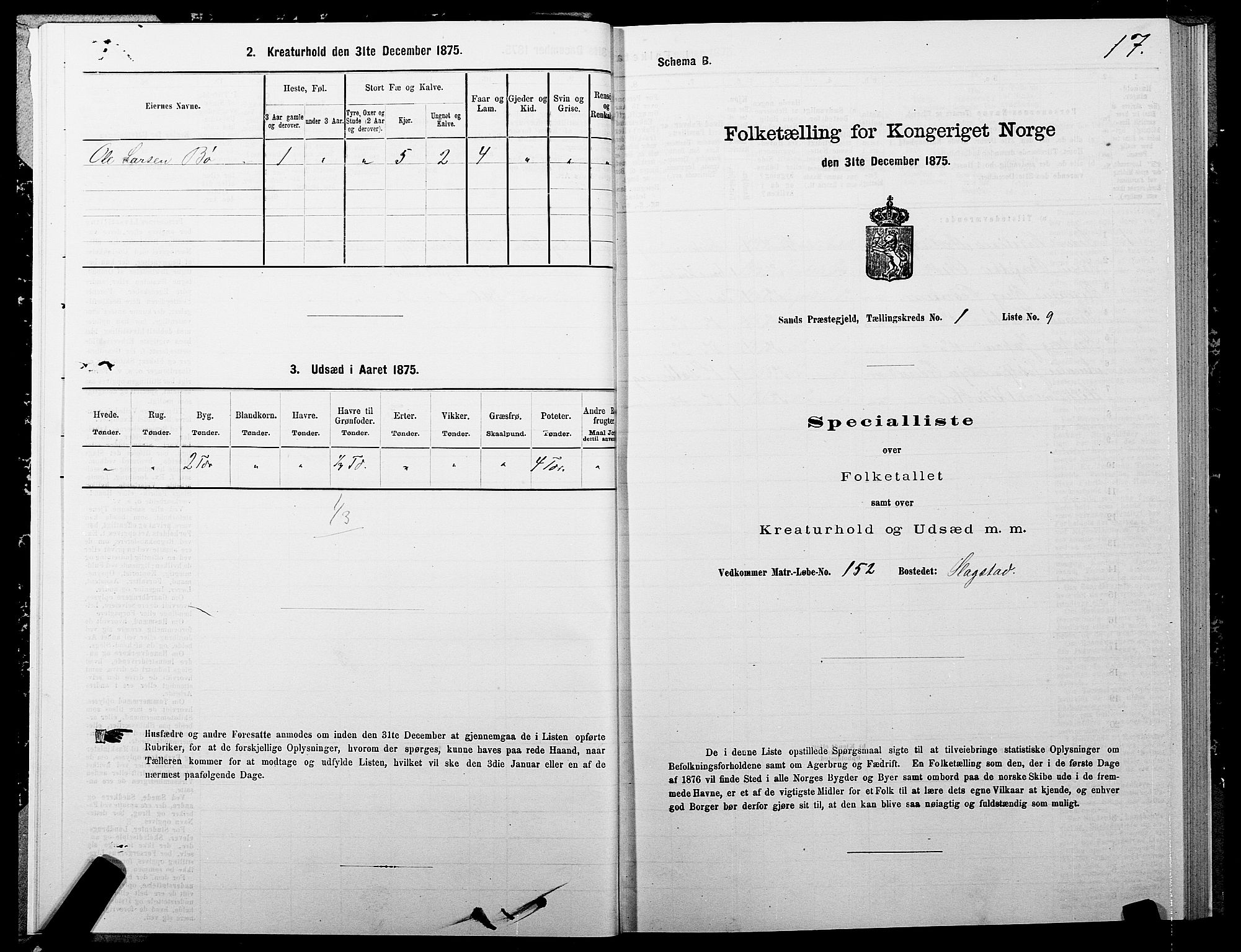 SATØ, 1875 census for 1915P Sand, 1875, p. 1017