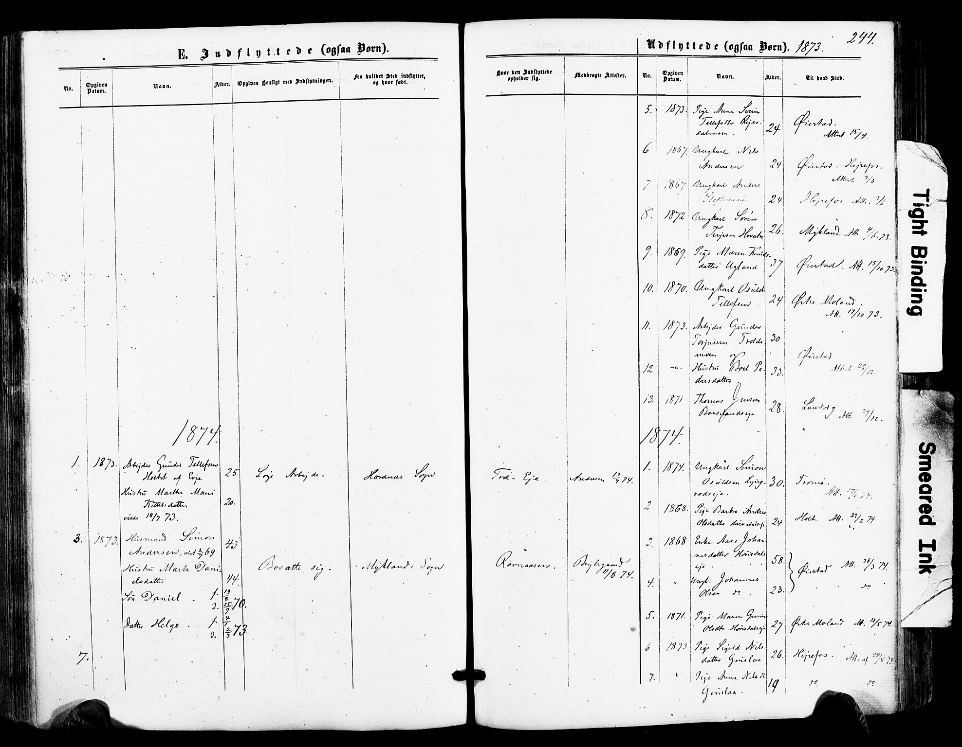 Froland sokneprestkontor, SAK/1111-0013/F/Fa/L0003: Parish register (official) no. A 3, 1864-1881, p. 244