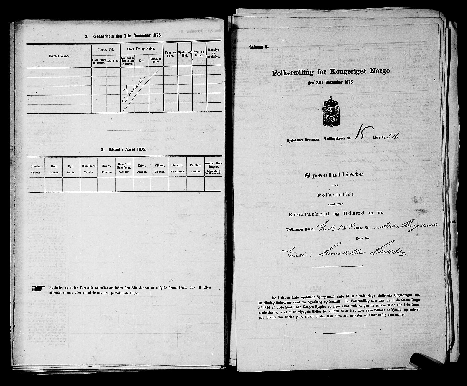 SAKO, 1875 census for 0602 Drammen, 1875, p. 1702