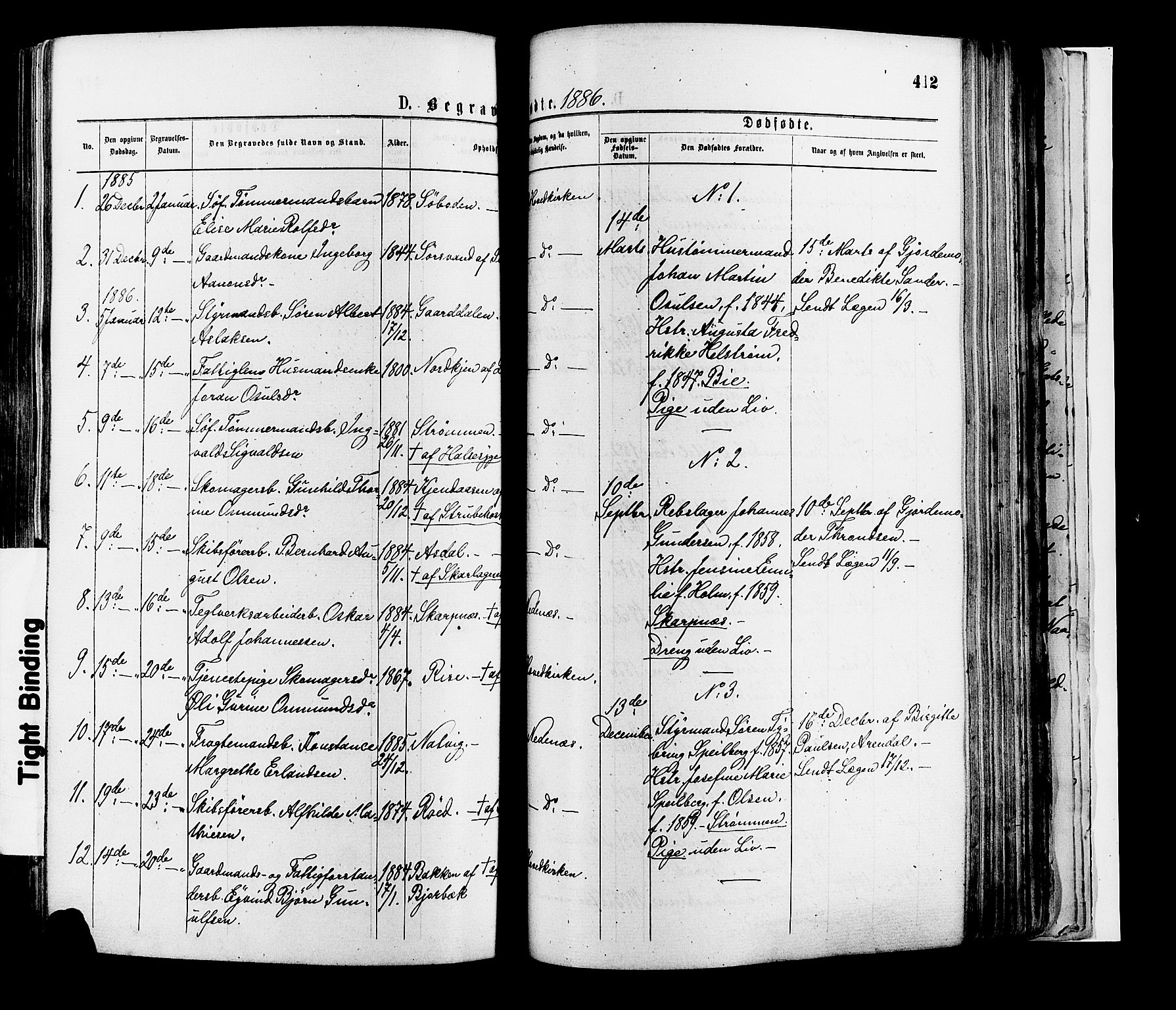 Øyestad sokneprestkontor, SAK/1111-0049/F/Fa/L0016: Parish register (official) no. A 16, 1874-1886, p. 412