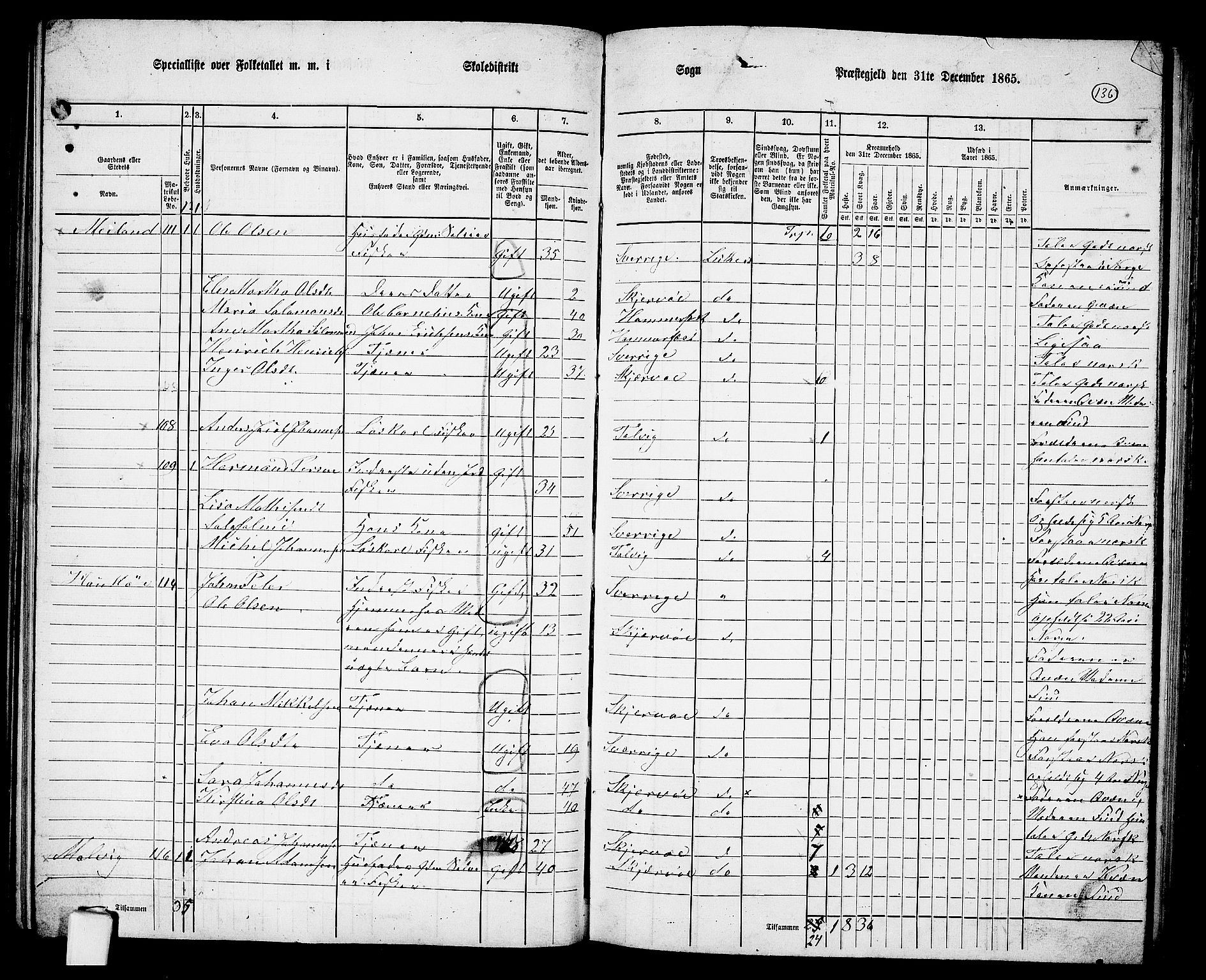 RA, 1865 census for Skjervøy, 1865, p. 19