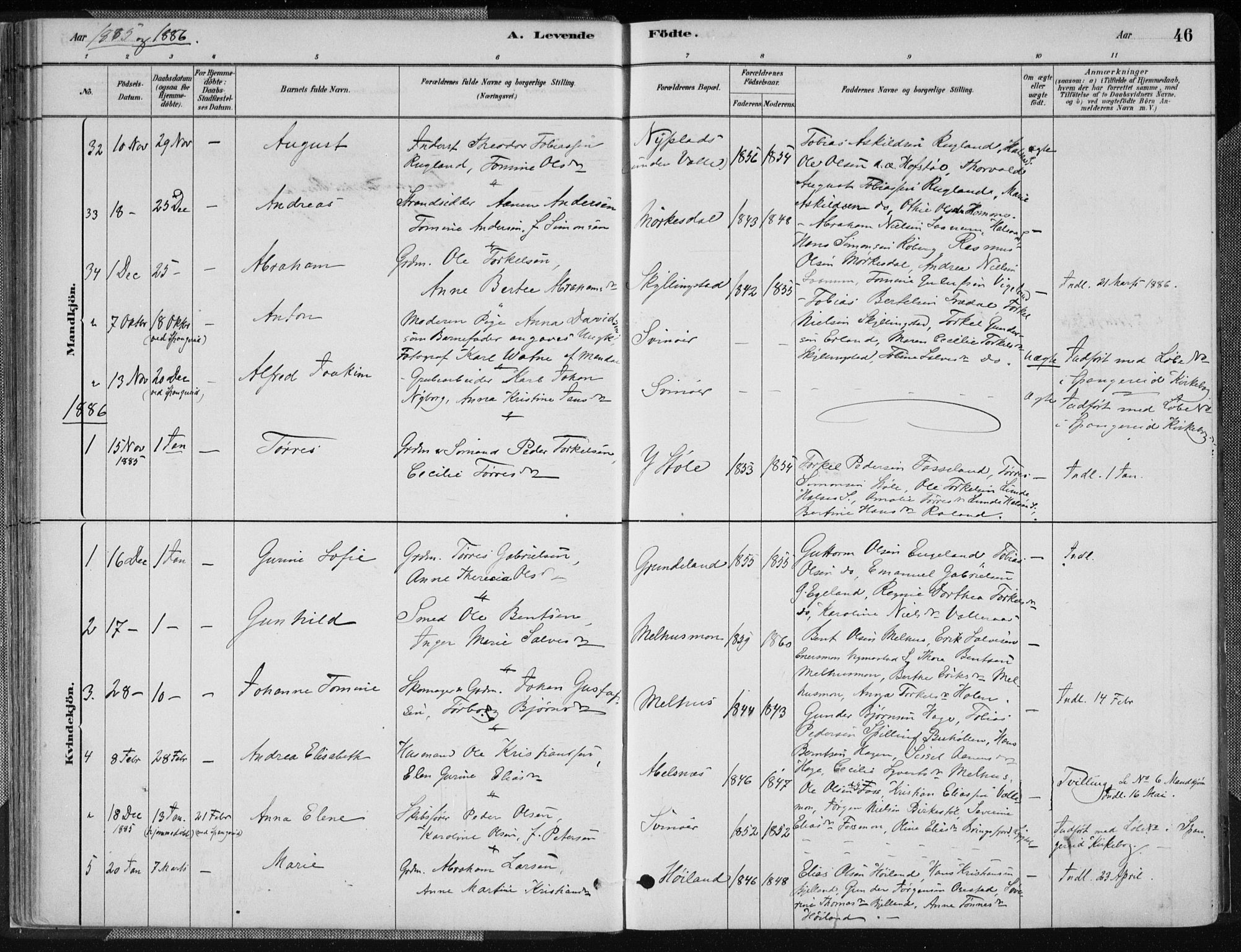 Sør-Audnedal sokneprestkontor, SAK/1111-0039/F/Fa/Fab/L0009: Parish register (official) no. A 9, 1880-1895, p. 46