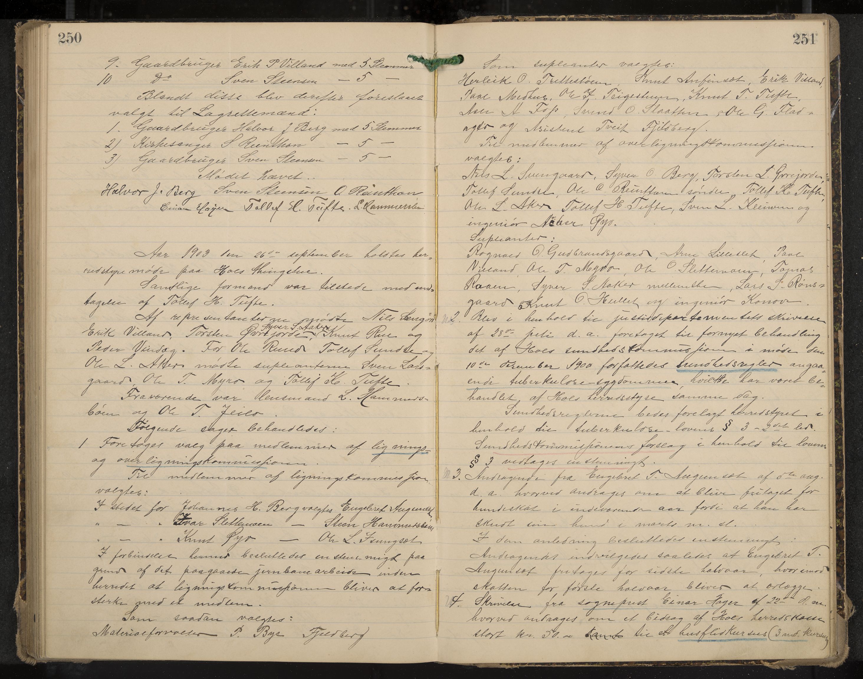 Hol formannskap og sentraladministrasjon, IKAK/0620021-1/A/L0003: Møtebok, 1897-1904, p. 250-251