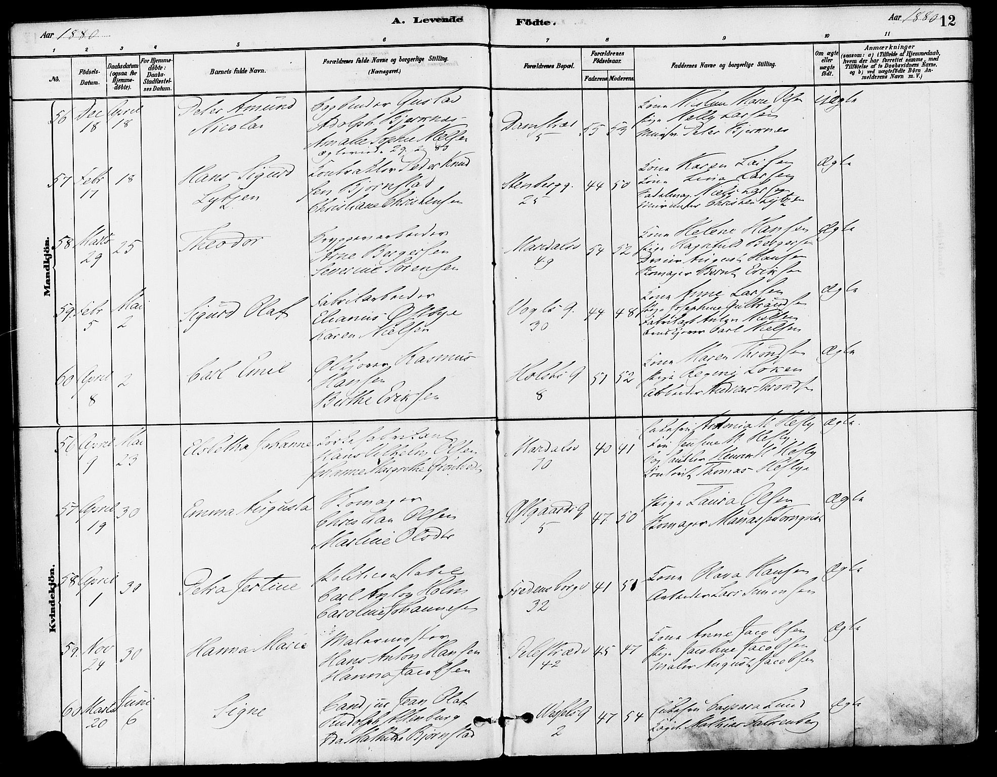 Gamle Aker prestekontor Kirkebøker, SAO/A-10617a/F/L0006: Parish register (official) no. 6, 1880-1887, p. 12