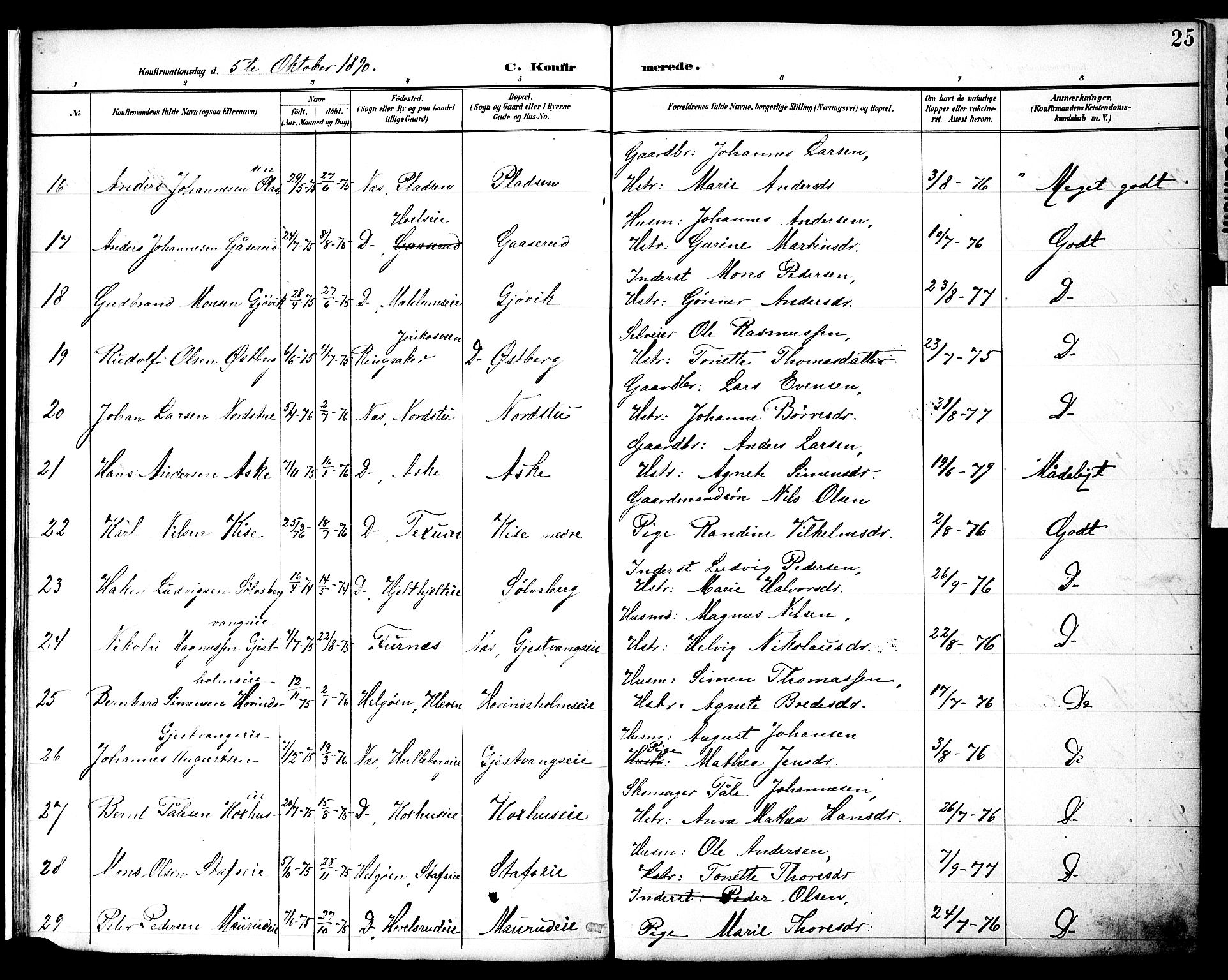 Nes prestekontor, Hedmark, AV/SAH-PREST-020/K/Ka/L0010: Parish register (official) no. 10, 1887-1905, p. 25