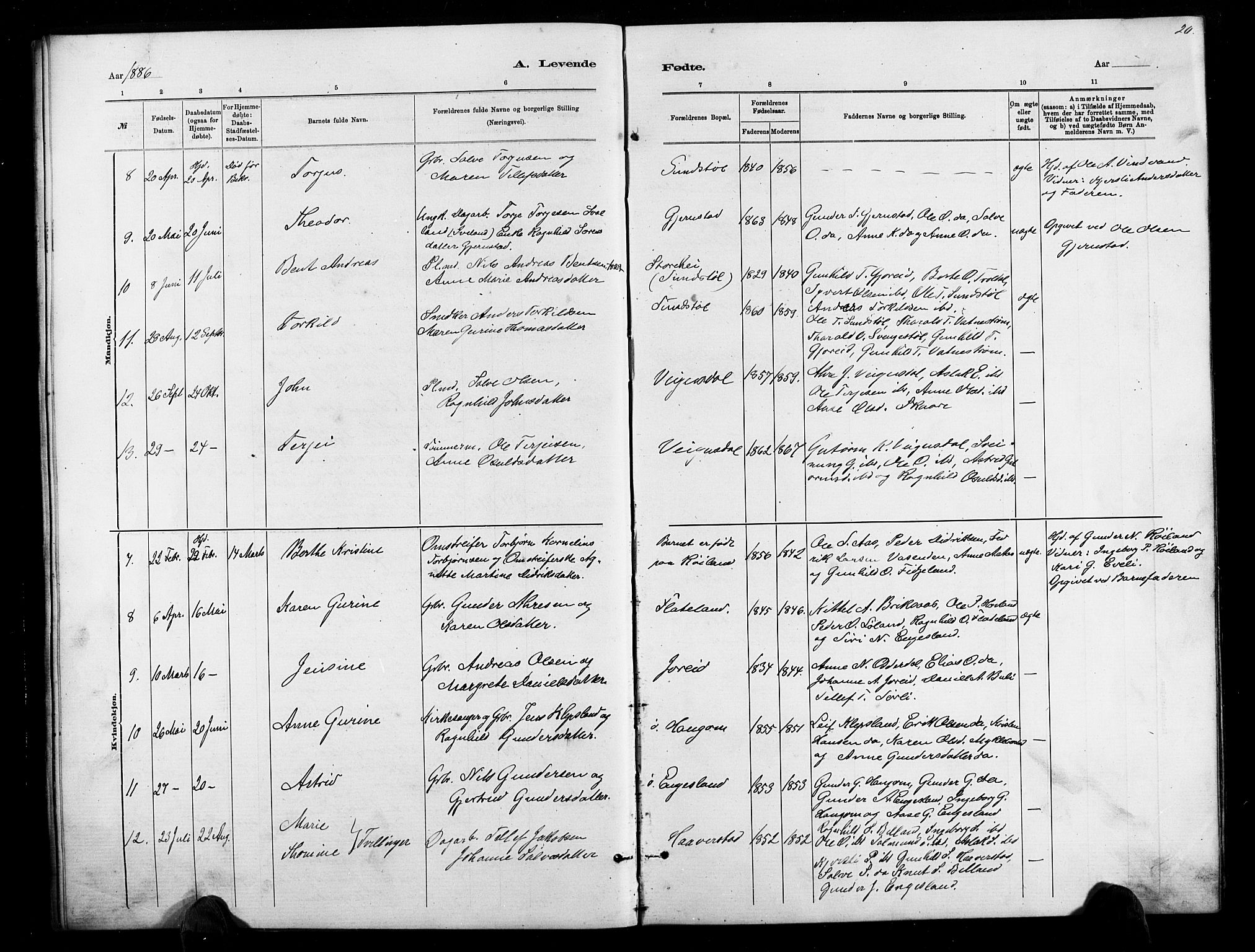 Herefoss sokneprestkontor, AV/SAK-1111-0019/F/Fb/Fbb/L0002: Parish register (copy) no. B 2, 1879-1894, p. 20