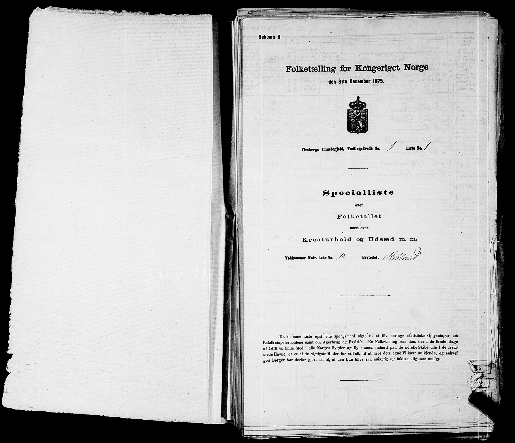 SAKO, 1875 census for 0631P Flesberg, 1875, p. 54