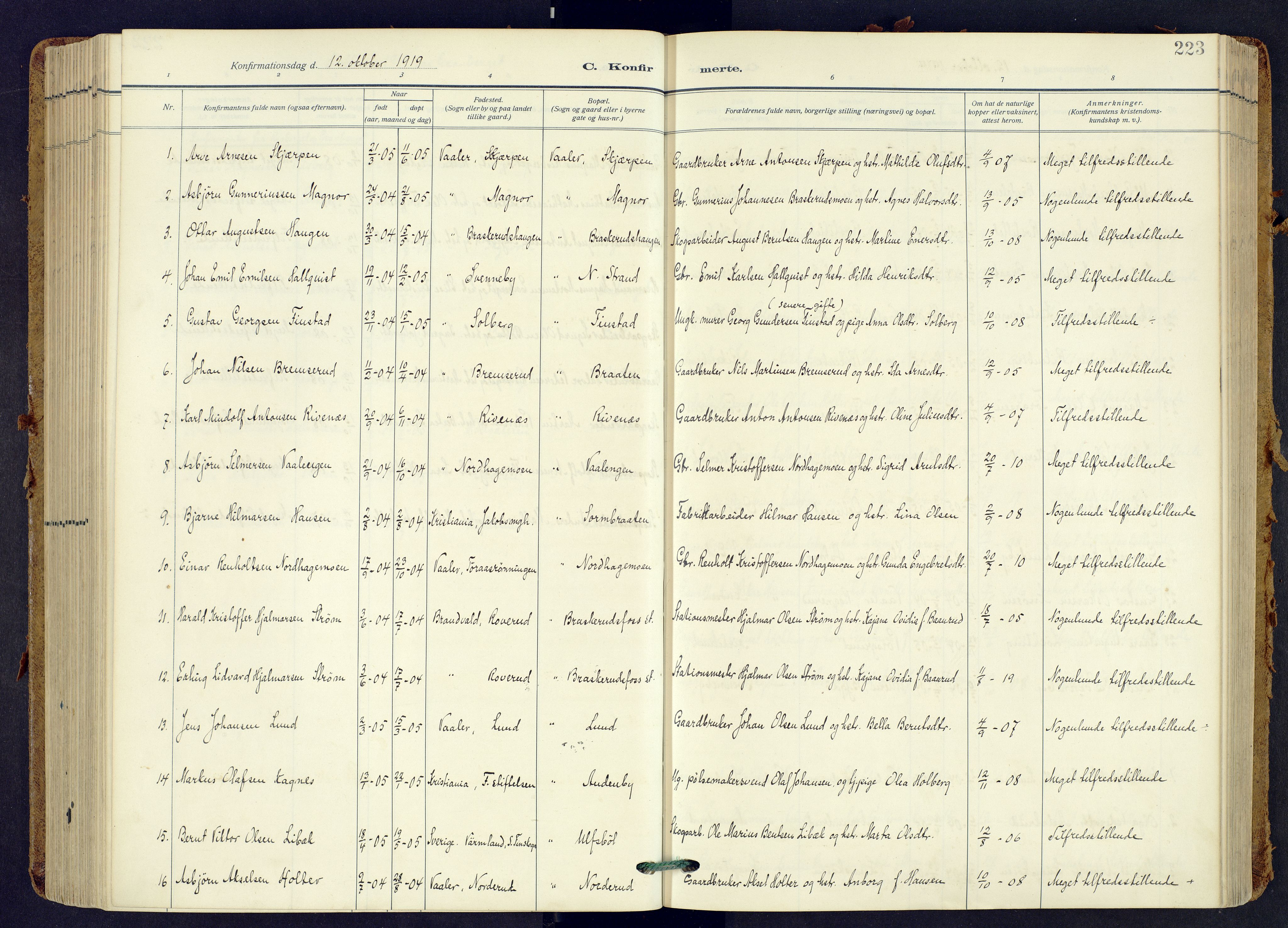 Våler prestekontor, Hedmark, AV/SAH-PREST-040/H/Ha/Haa/L0009: Parish register (official) no. 9, 1912-1940, p. 223