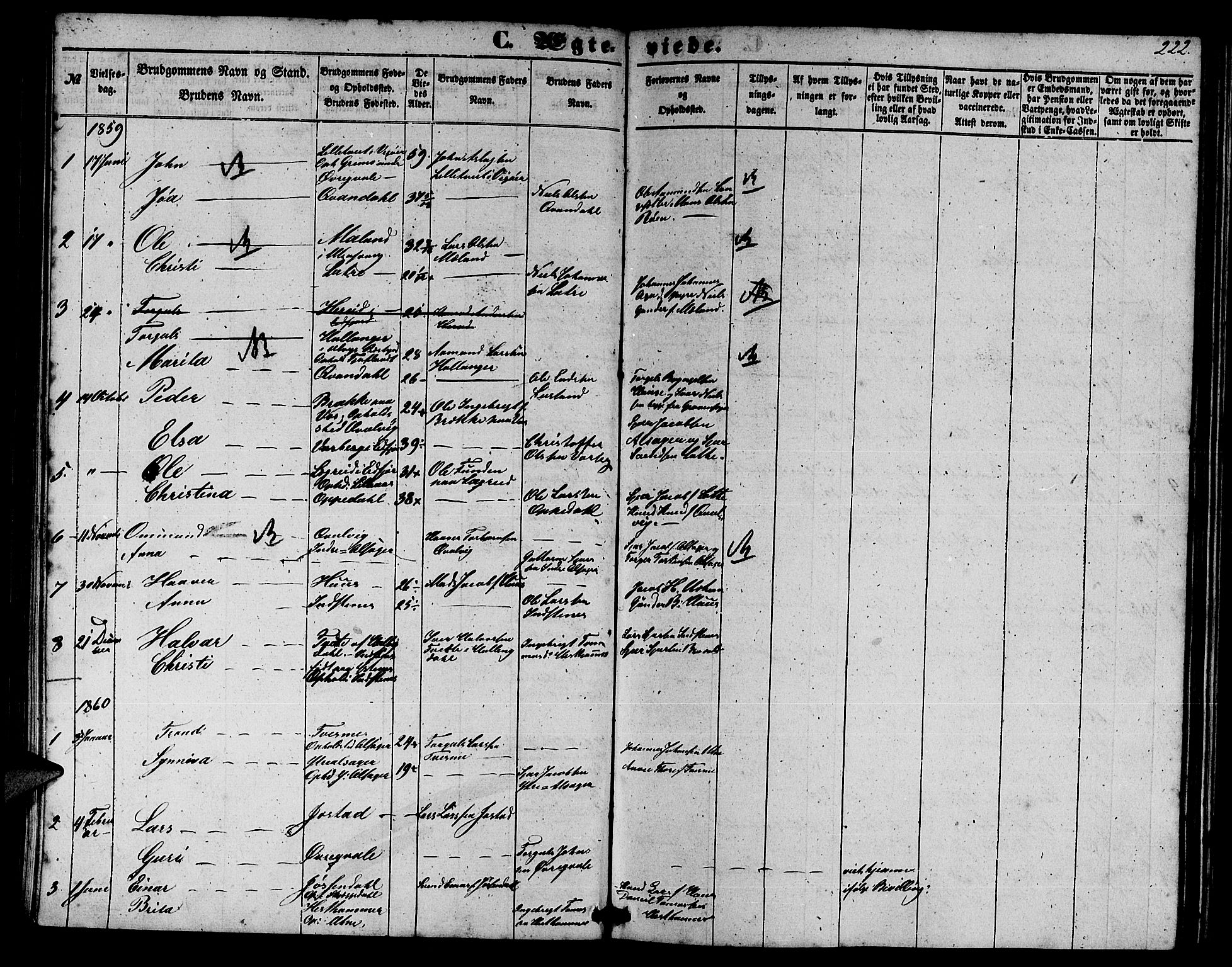 Ullensvang sokneprestembete, SAB/A-78701/H/Hab: Parish register (copy) no. E 6, 1857-1886, p. 222