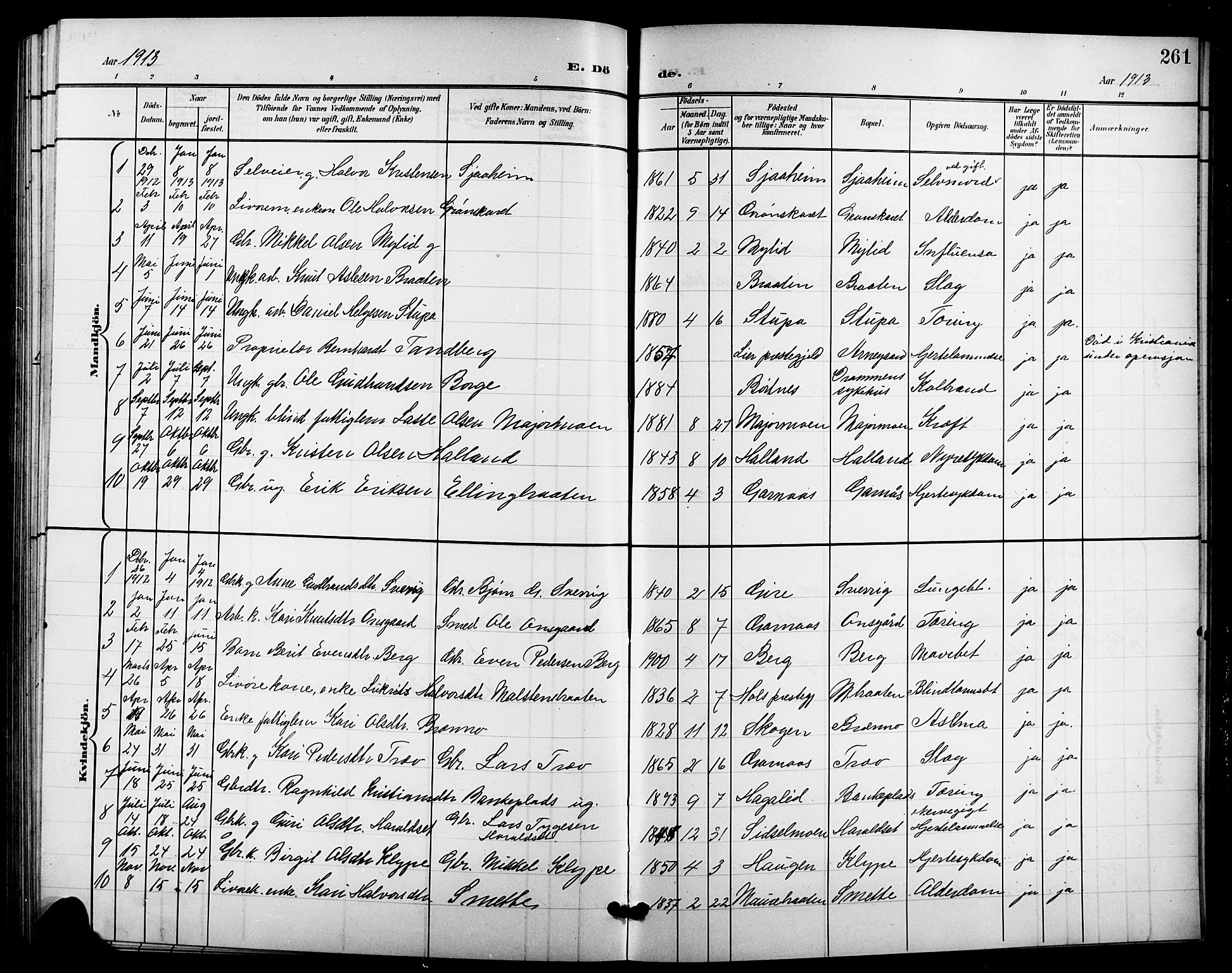 Nes kirkebøker, SAKO/A-236/G/Ga/L0004: Parish register (copy) no. I 4, 1900-1925, p. 261