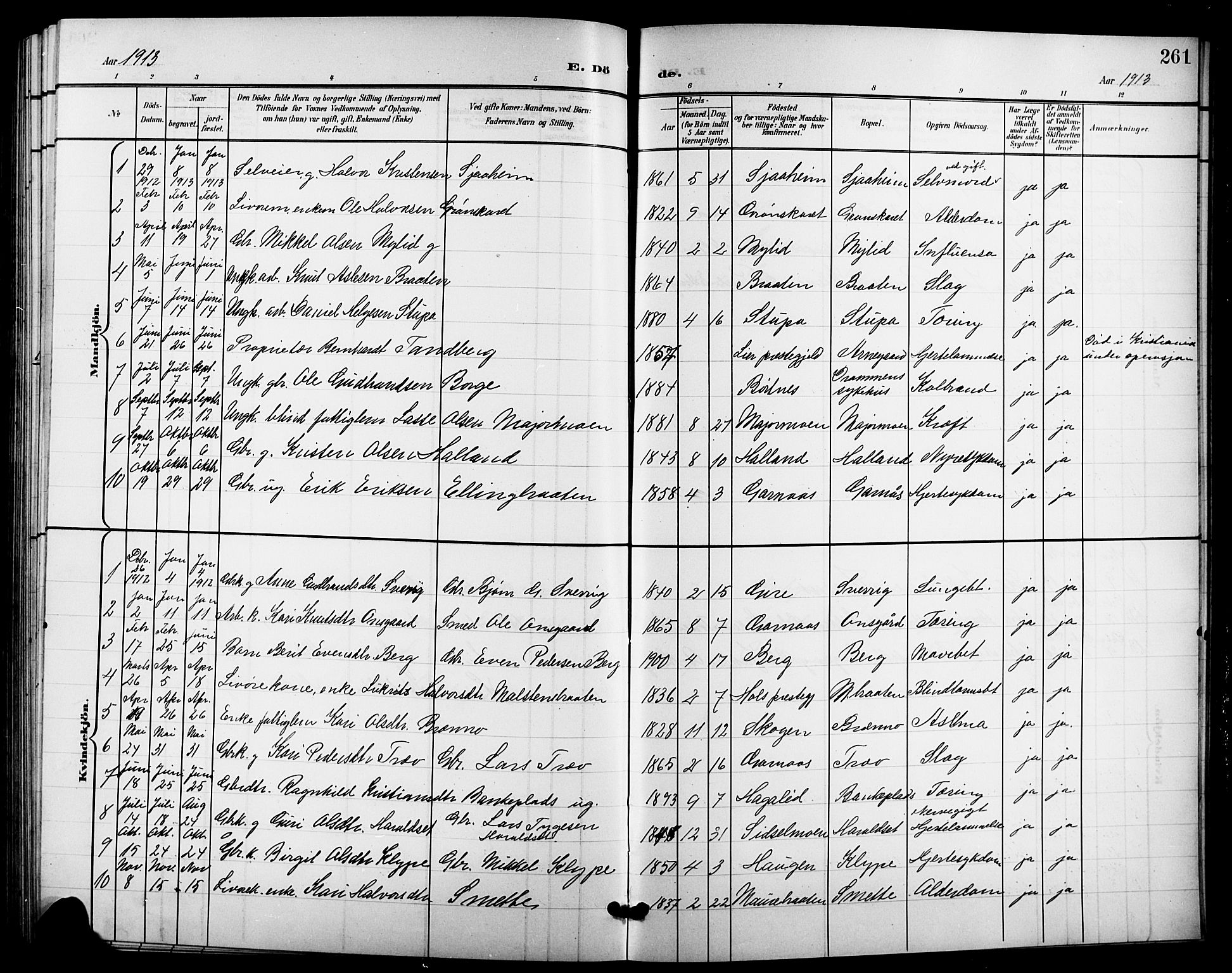 Nes kirkebøker, AV/SAKO-A-236/G/Ga/L0004: Parish register (copy) no. I 4, 1900-1925, p. 261