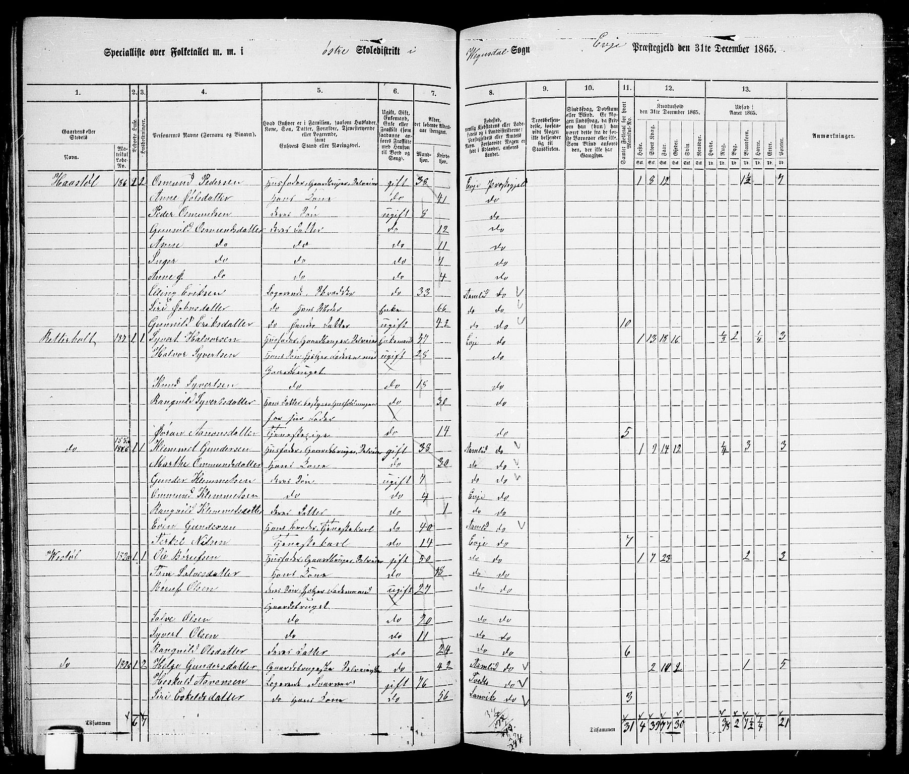 RA, 1865 census for Evje, 1865, p. 61