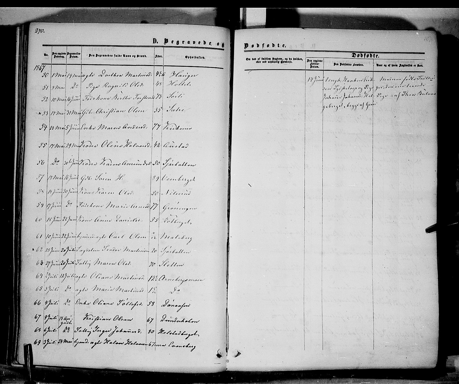 Hof prestekontor, AV/SAH-PREST-038/H/Ha/Haa/L0009: Parish register (official) no. 9, 1862-1877, p. 270