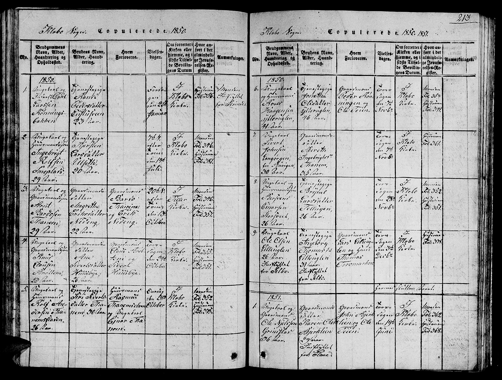 Ministerialprotokoller, klokkerbøker og fødselsregistre - Sør-Trøndelag, SAT/A-1456/618/L0450: Parish register (copy) no. 618C01, 1816-1865, p. 213