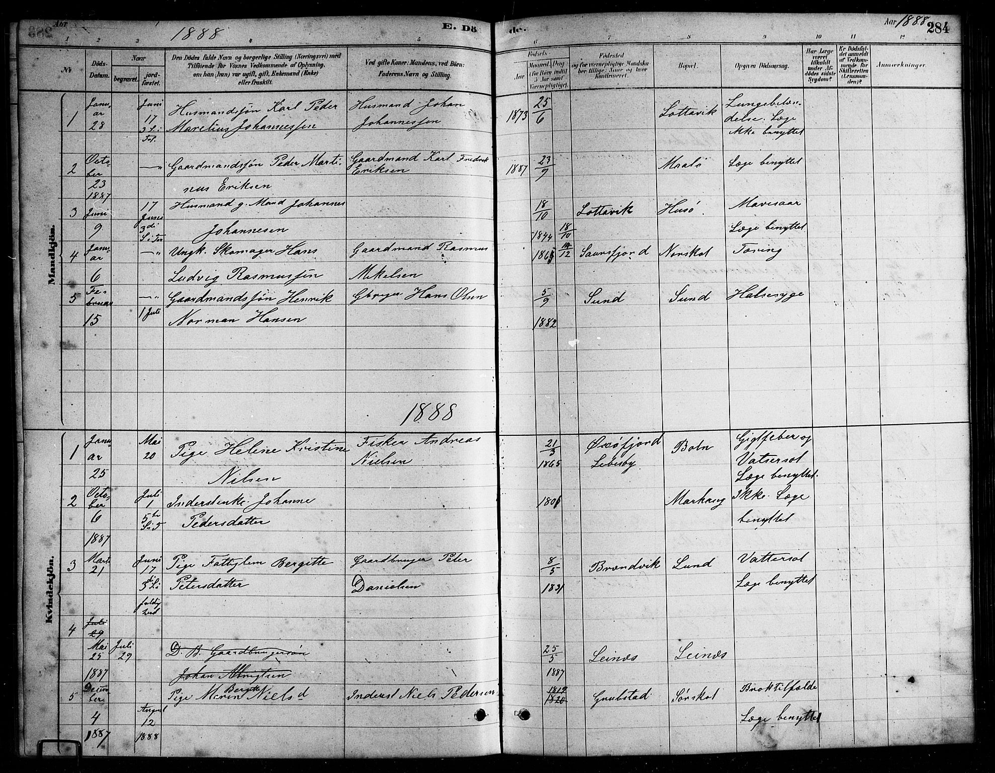 Ministerialprotokoller, klokkerbøker og fødselsregistre - Nordland, AV/SAT-A-1459/857/L0828: Parish register (copy) no. 857C03, 1879-1908, p. 284