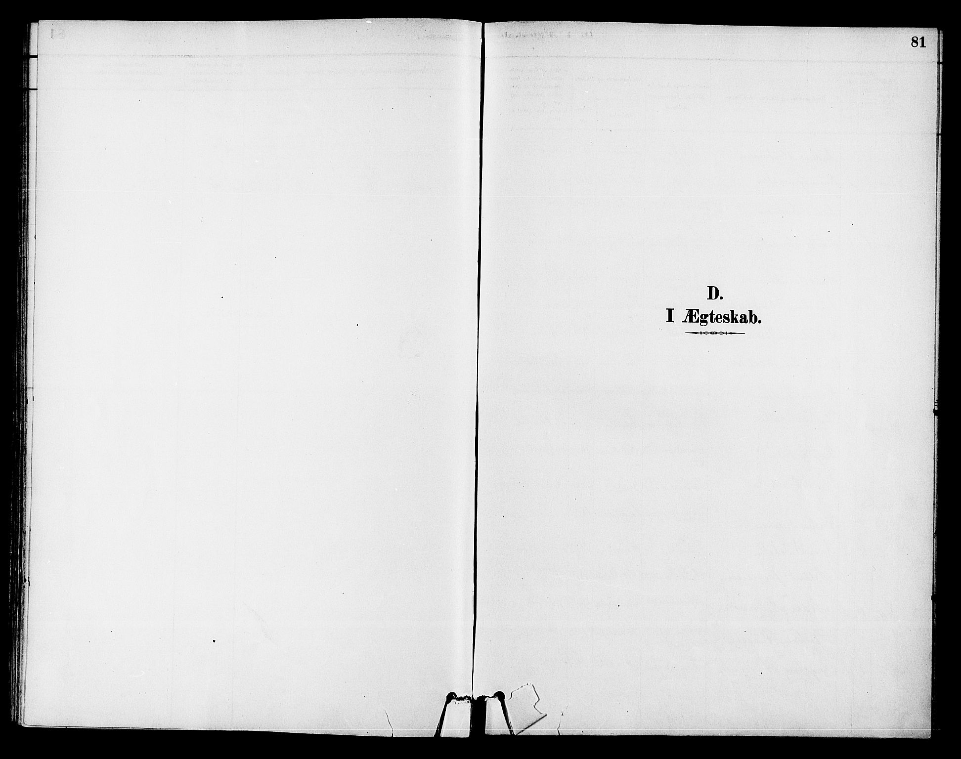 Ådal kirkebøker, SAKO/A-248/F/Fb/L0001: Parish register (official) no. II 1, 1884-1897, p. 81