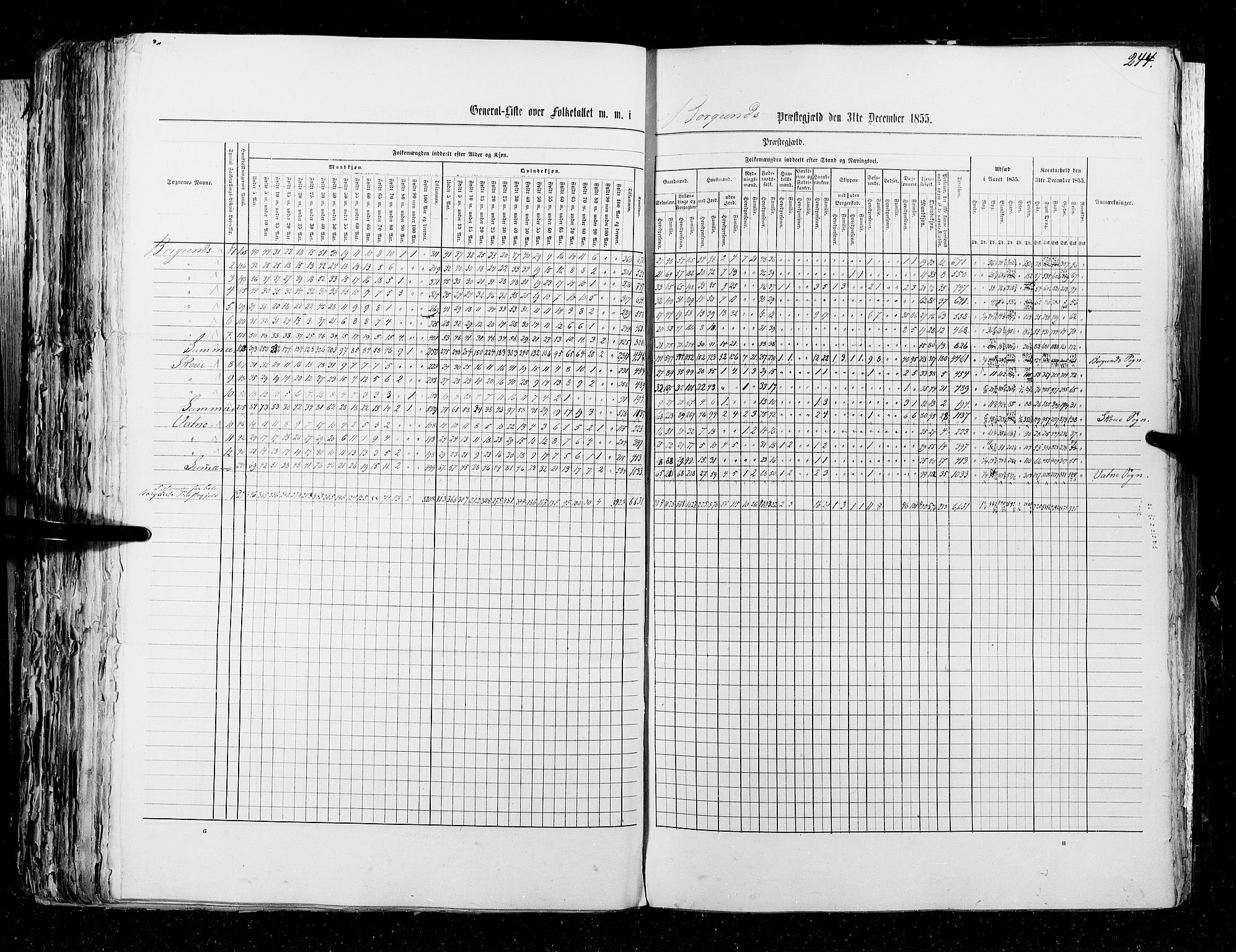 RA, Census 1855, vol. 5: Nordre Bergenhus amt, Romsdal amt og Søndre Trondhjem amt, 1855, p. 244