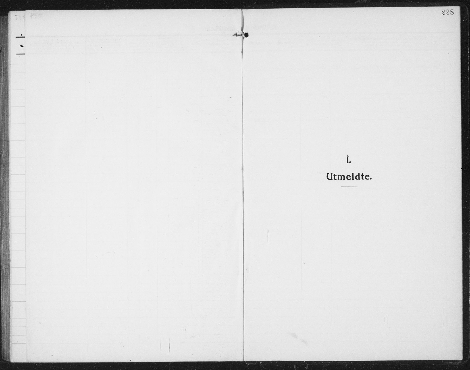 Ministerialprotokoller, klokkerbøker og fødselsregistre - Nordland, SAT/A-1459/804/L0089: Parish register (copy) no. 804C02, 1918-1935, p. 228