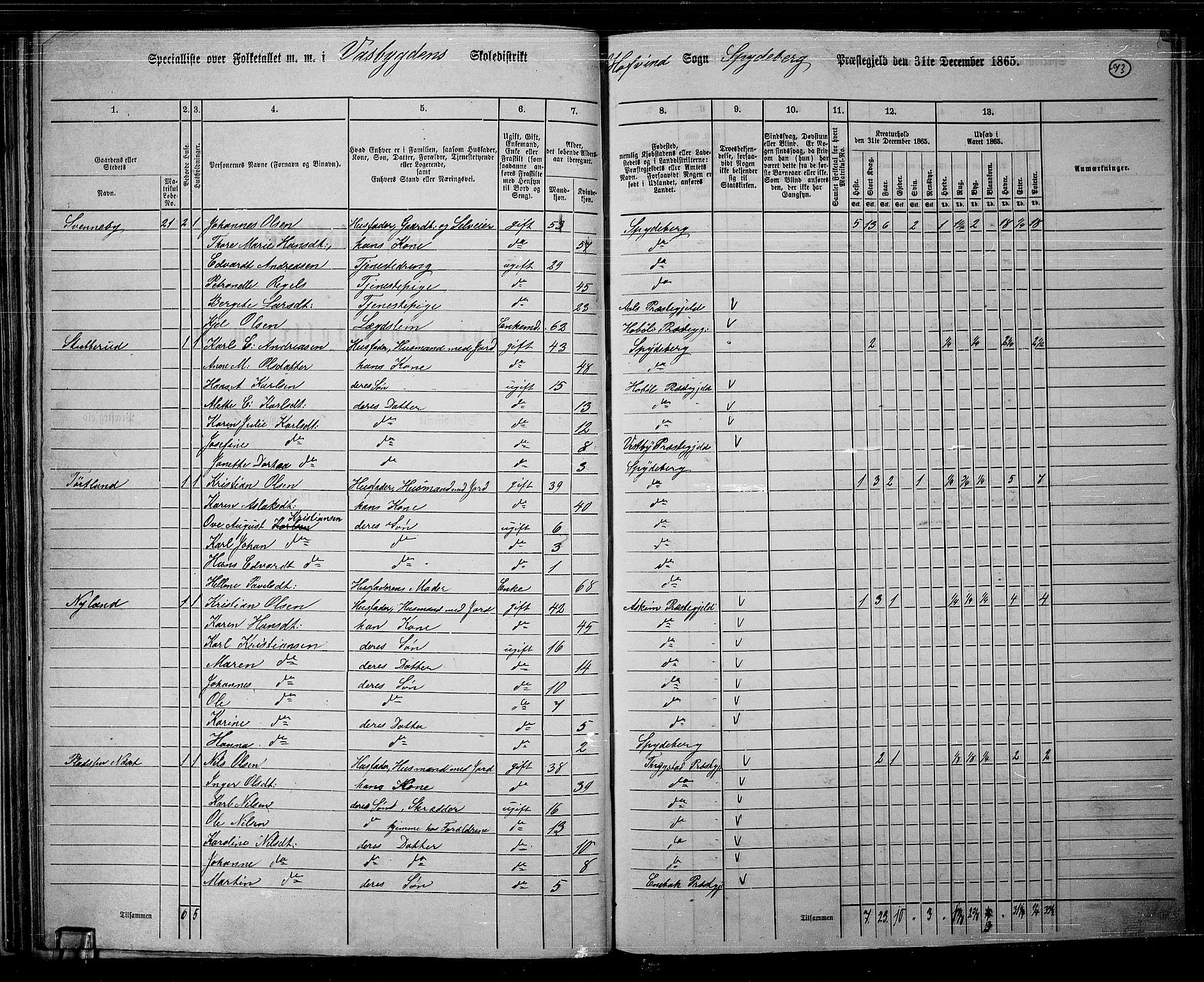 RA, 1865 census for Spydeberg, 1865, p. 64