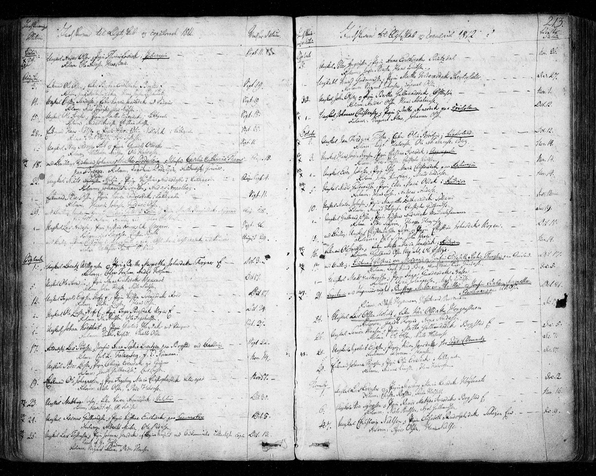 Aker prestekontor kirkebøker, SAO/A-10861/F/L0011: Parish register (official) no. 11, 1810-1819, p. 213