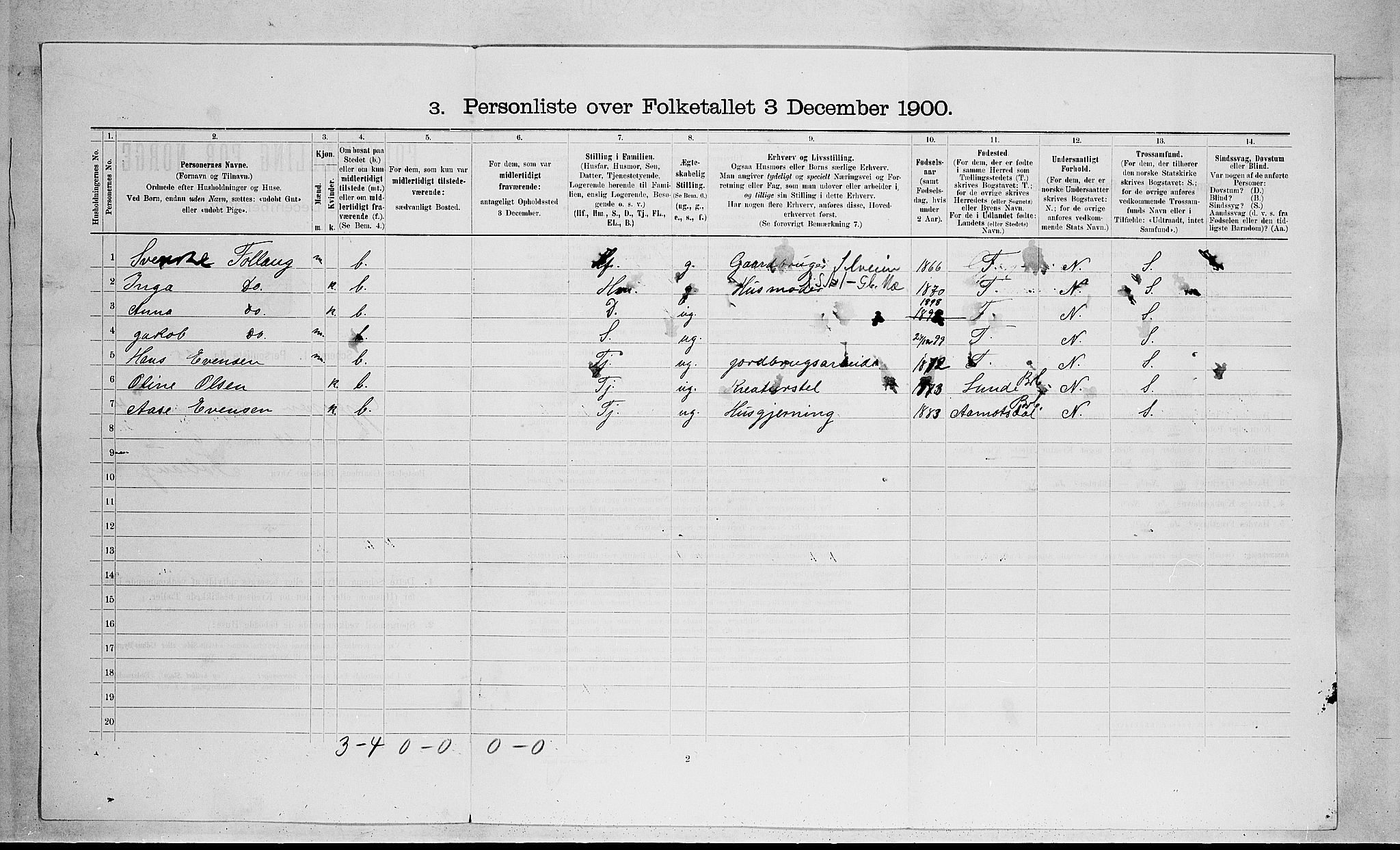 SAKO, 1900 census for Gjerpen, 1900, p. 1029