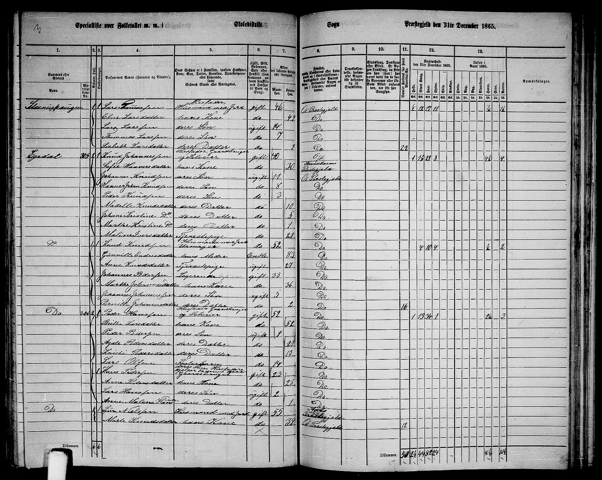 RA, 1865 census for Os, 1865, p. 156