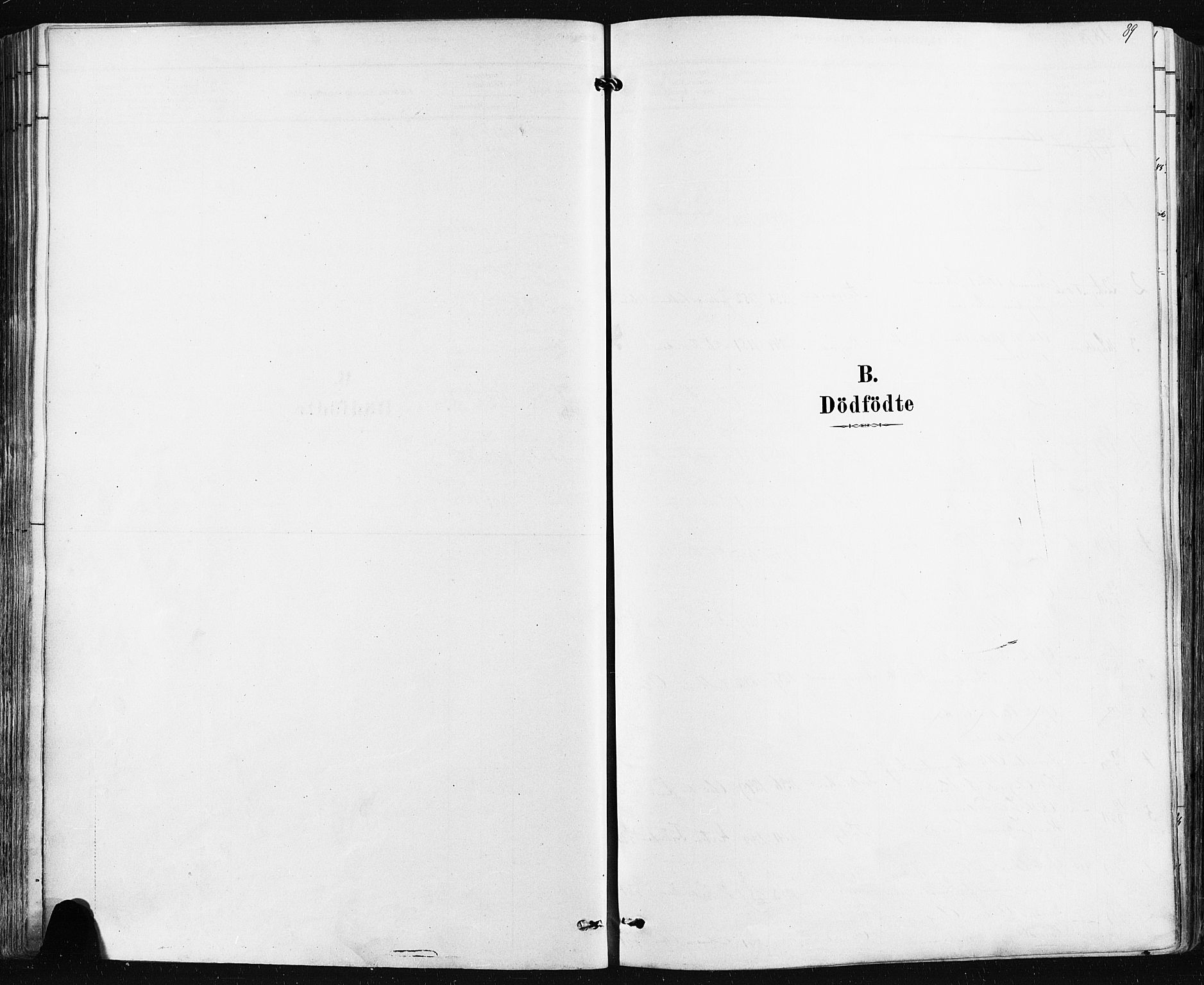 Borre kirkebøker, SAKO/A-338/F/Fa/L0009: Parish register (official) no. I 9, 1878-1896, p. 89