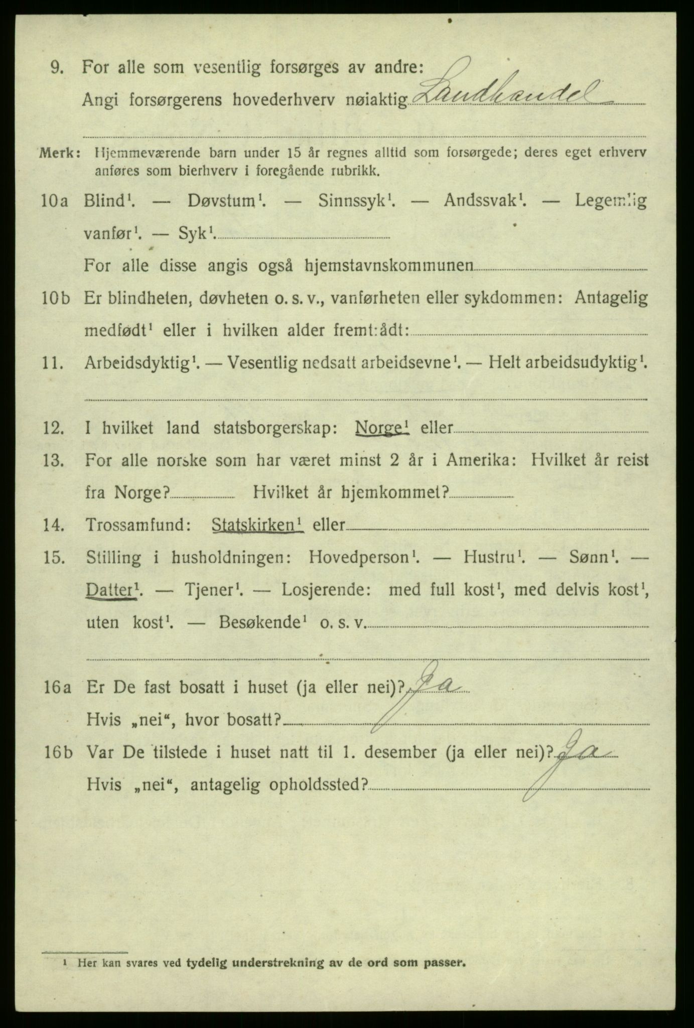 SAB, 1920 census for Jostedal, 1920, p. 1529