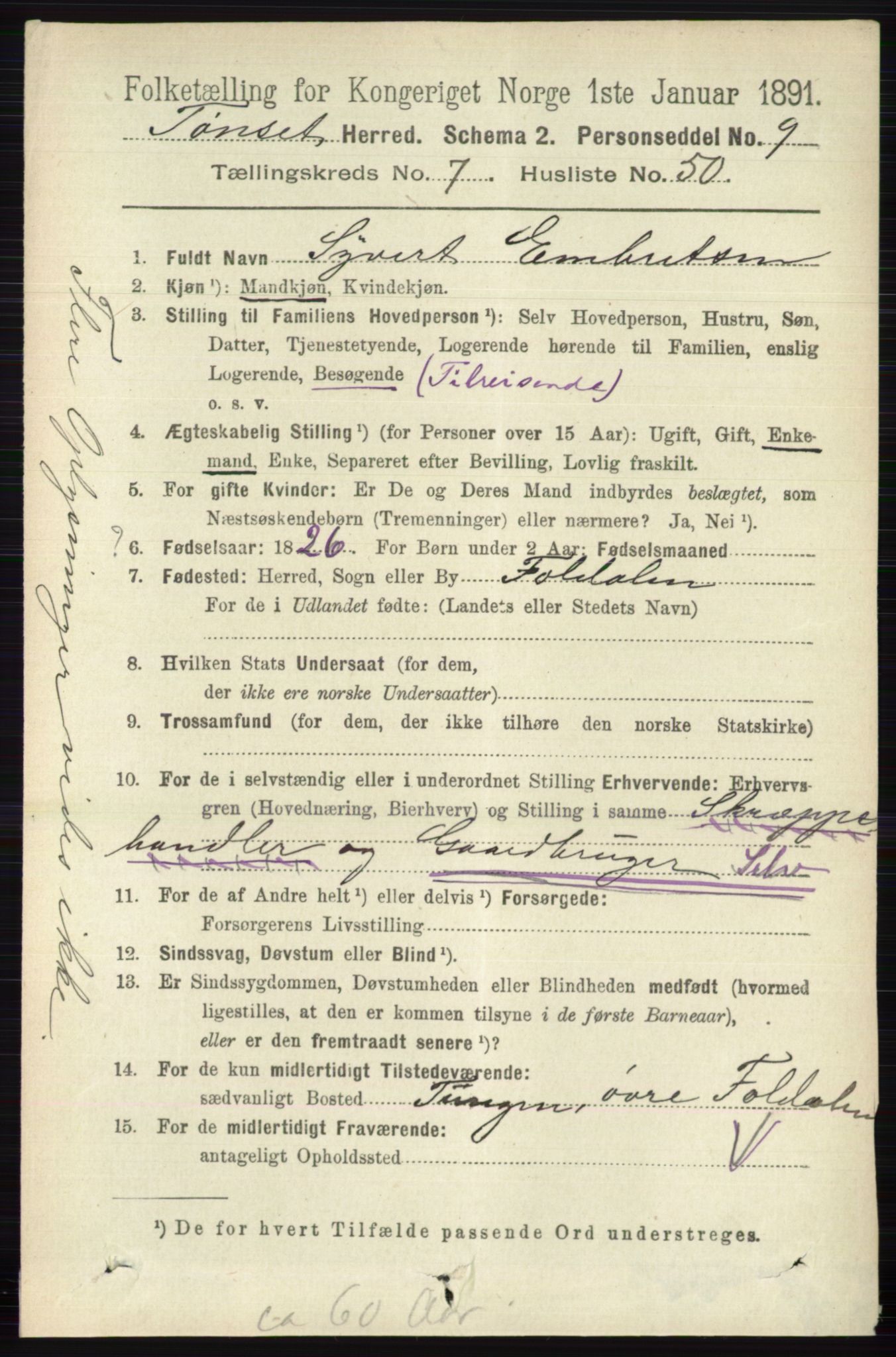 RA, 1891 census for 0437 Tynset, 1891, p. 2029