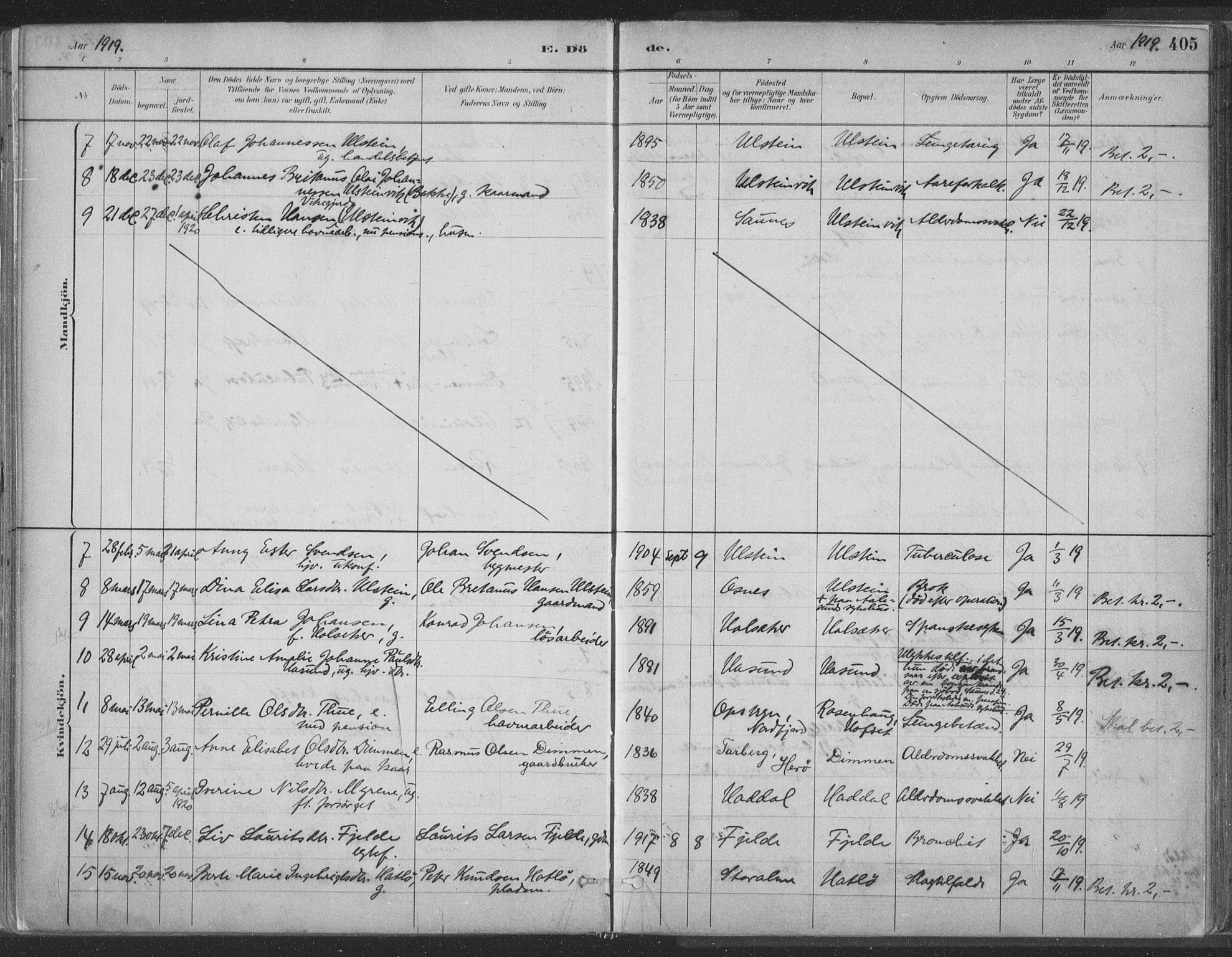 Ministerialprotokoller, klokkerbøker og fødselsregistre - Møre og Romsdal, AV/SAT-A-1454/509/L0106: Parish register (official) no. 509A04, 1883-1922, p. 405