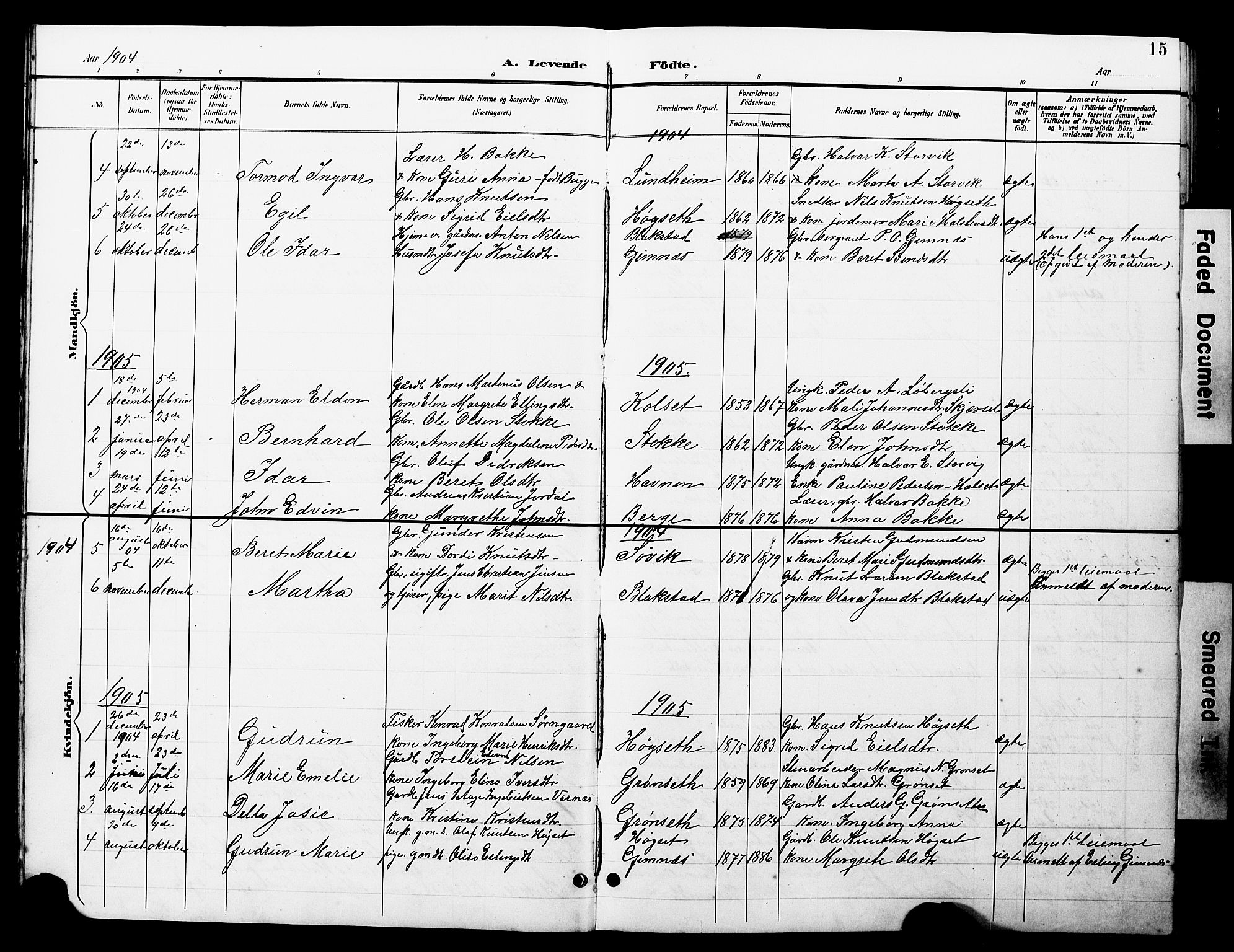 Ministerialprotokoller, klokkerbøker og fødselsregistre - Møre og Romsdal, AV/SAT-A-1454/585/L0973: Parish register (copy) no. 585C01, 1893-1930, p. 15