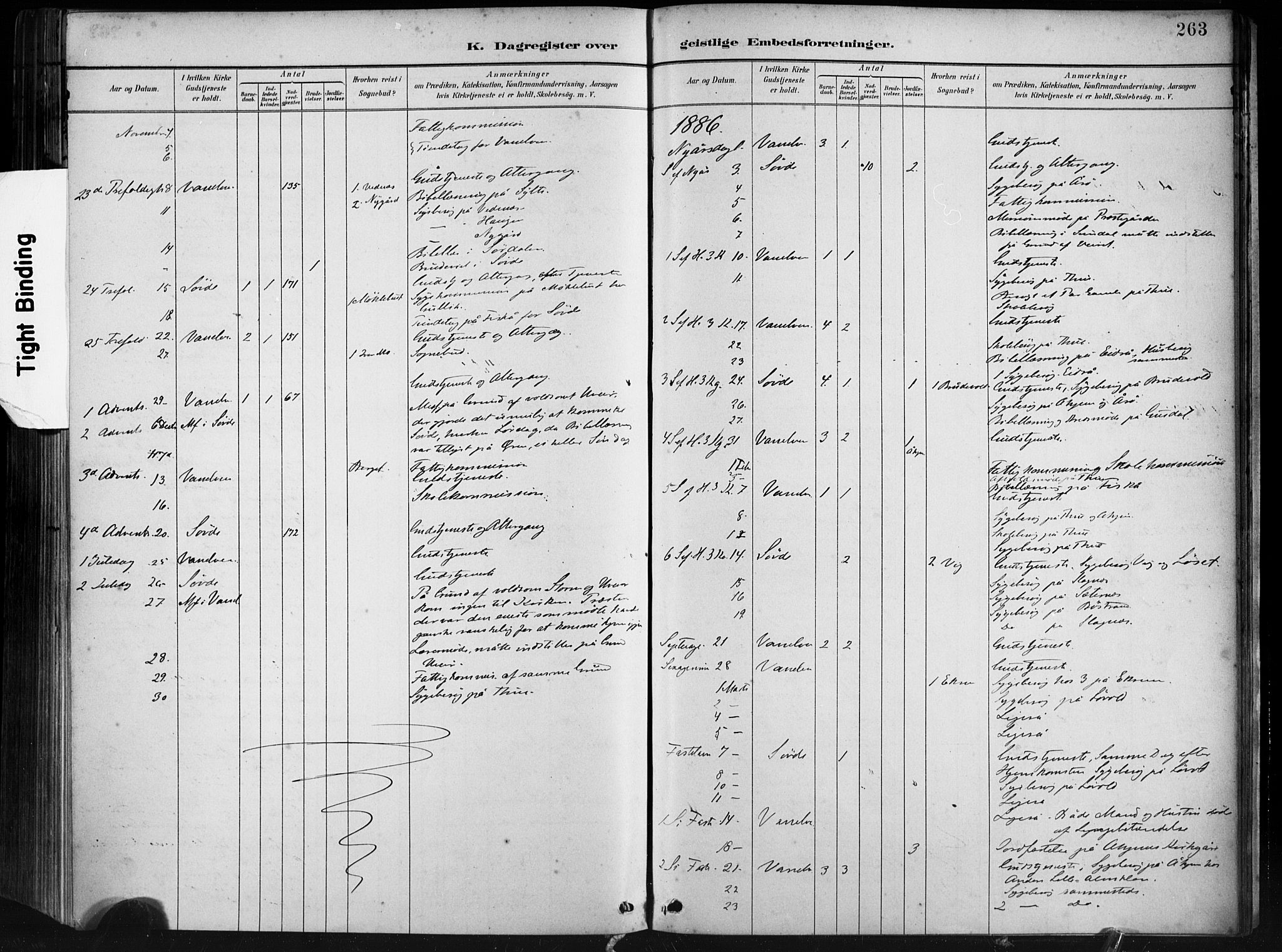 Ministerialprotokoller, klokkerbøker og fødselsregistre - Møre og Romsdal, AV/SAT-A-1454/501/L0008: Parish register (official) no. 501A08, 1885-1901, p. 263