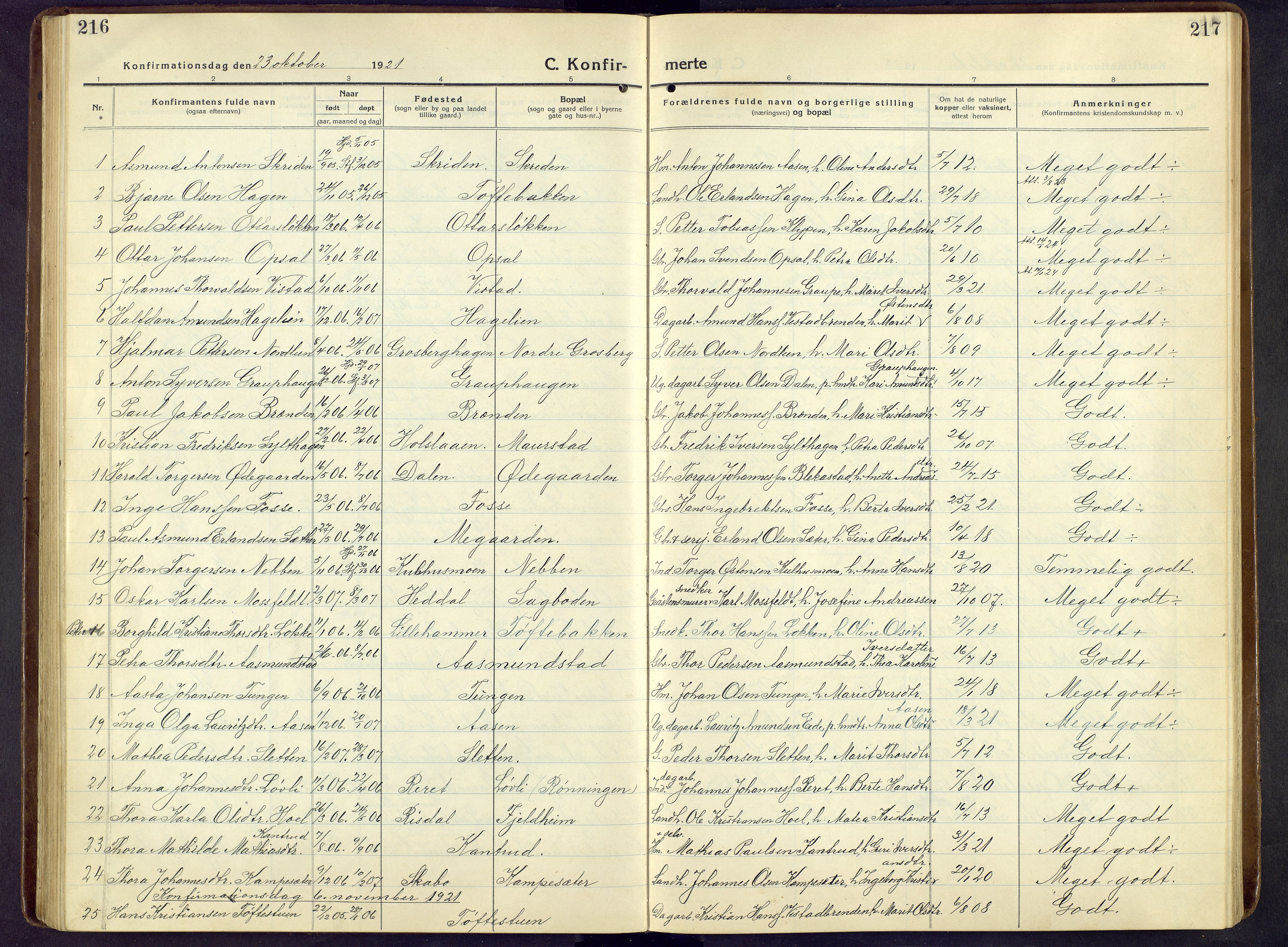 Nord-Fron prestekontor, SAH/PREST-080/H/Ha/Hab/L0009: Parish register (copy) no. 9, 1915-1958, p. 216-217