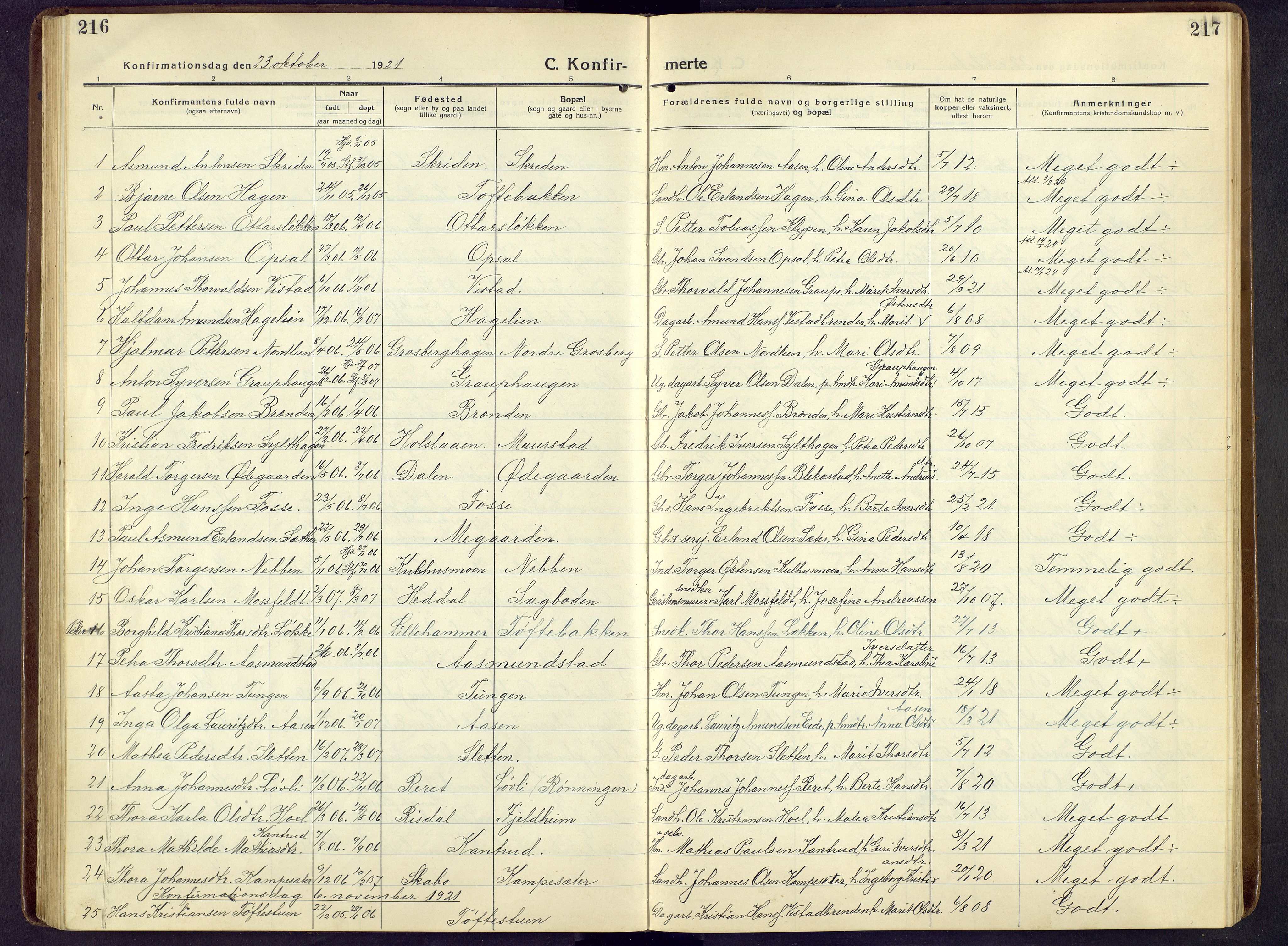 Nord-Fron prestekontor, AV/SAH-PREST-080/H/Ha/Hab/L0009: Parish register (copy) no. 9, 1915-1958, p. 216-217