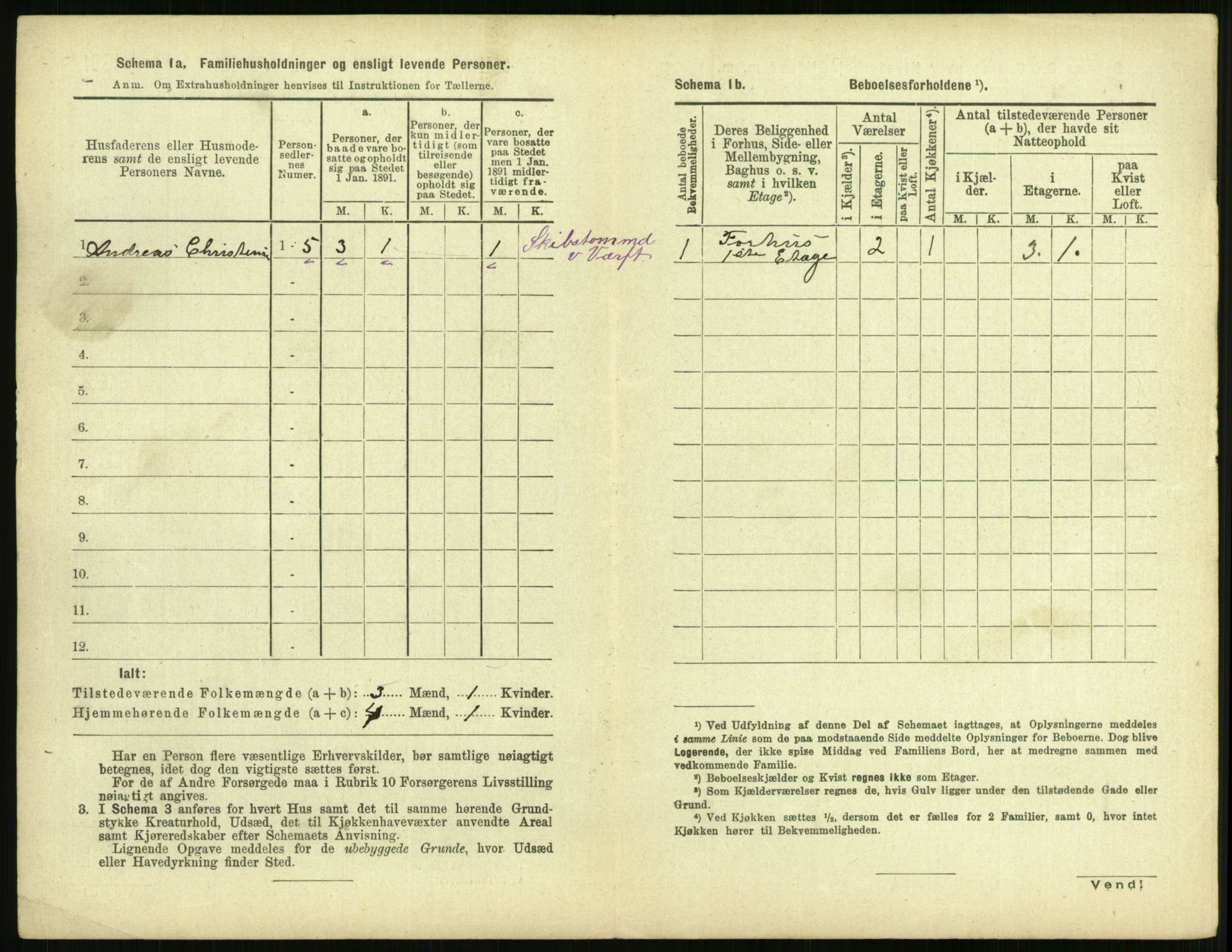 RA, 1891 census for 0802 Langesund, 1891, p. 113