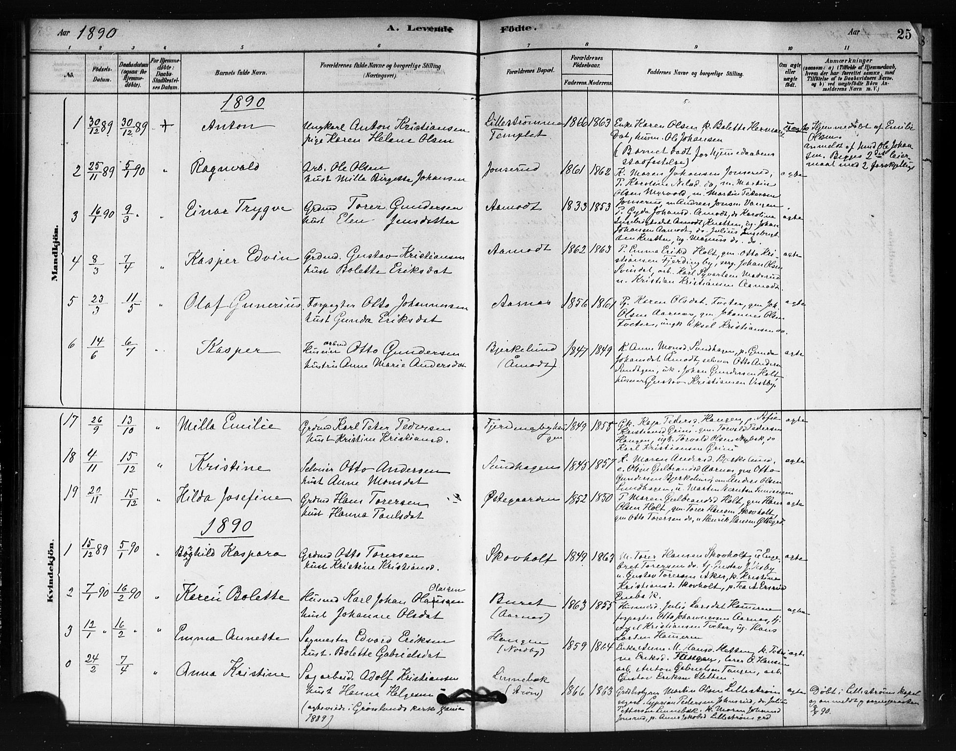 Fet prestekontor Kirkebøker, AV/SAO-A-10370a/F/Fb/L0001: Parish register (official) no. II 1, 1878-1891, p. 25