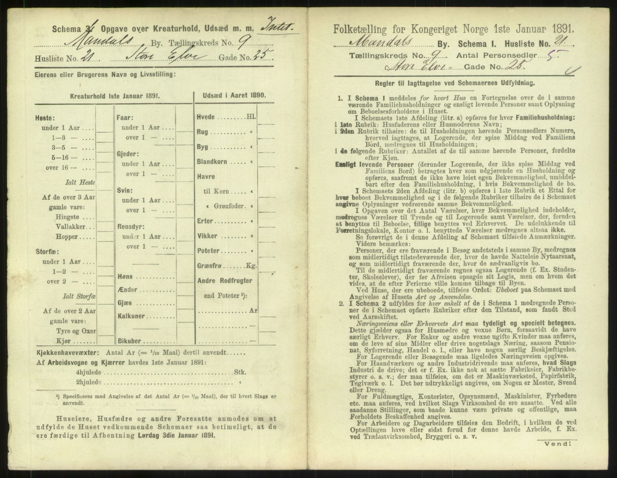 RA, 1891 census for 1002 Mandal, 1891, p. 483