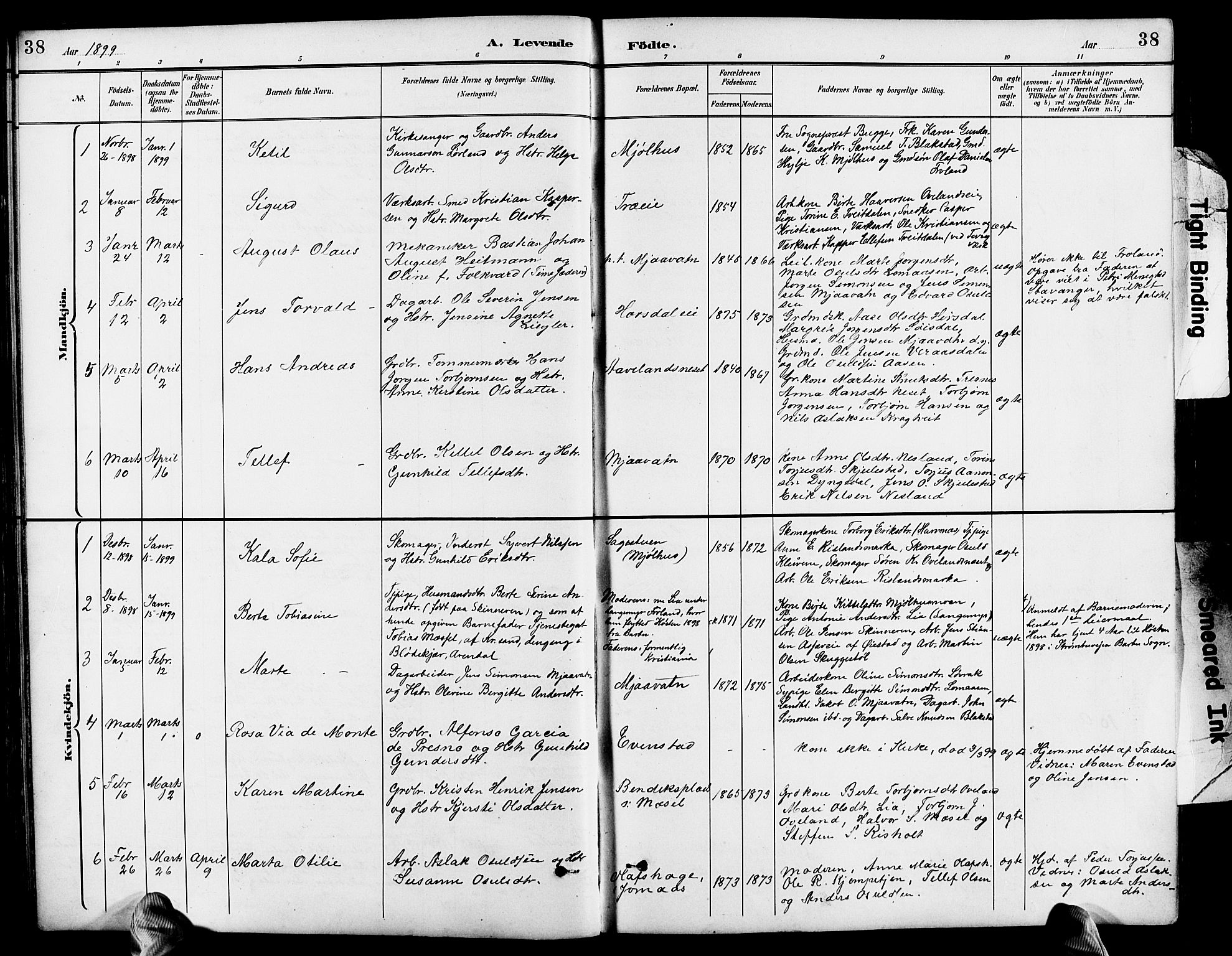 Froland sokneprestkontor, SAK/1111-0013/F/Fb/L0010: Parish register (copy) no. B 10, 1893-1920, p. 38
